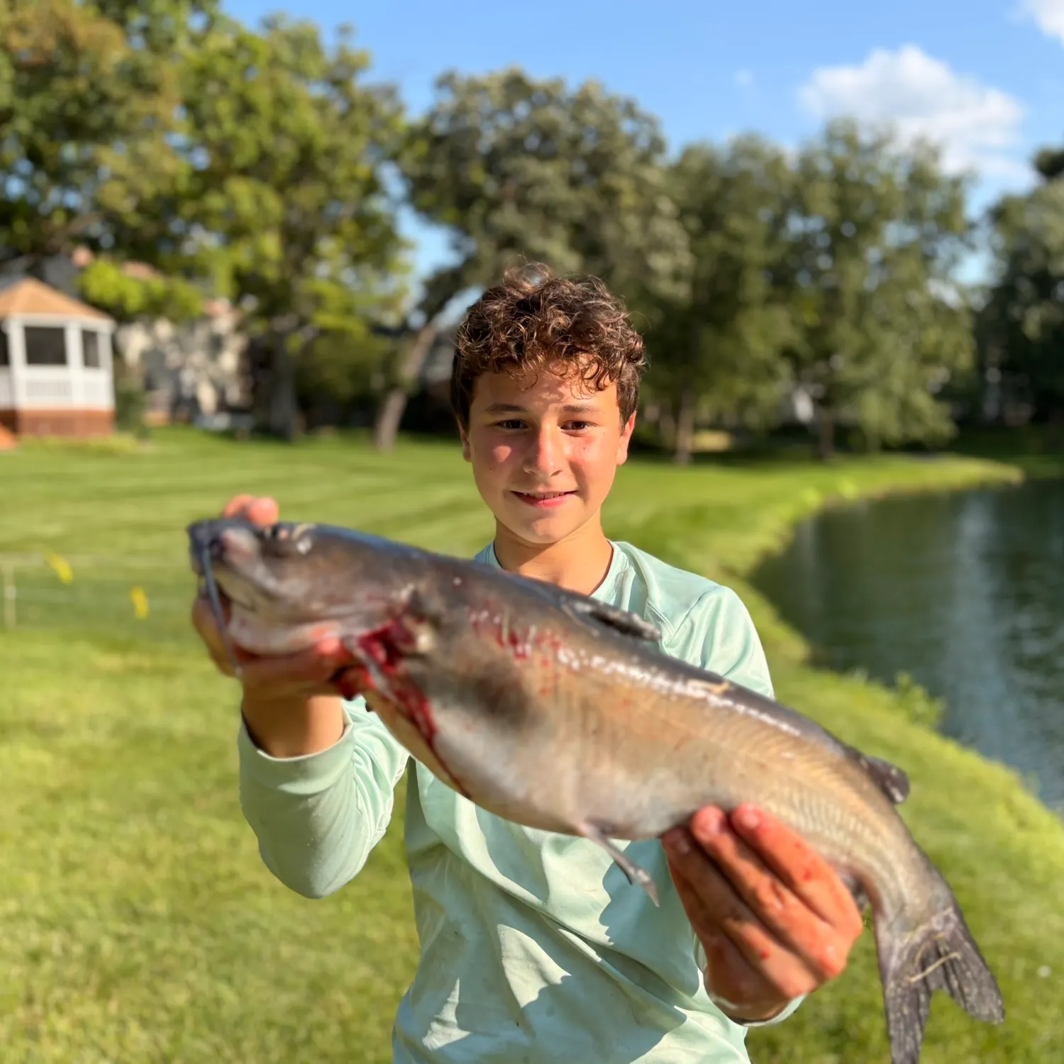 Channel catfish caught on Fishbrain