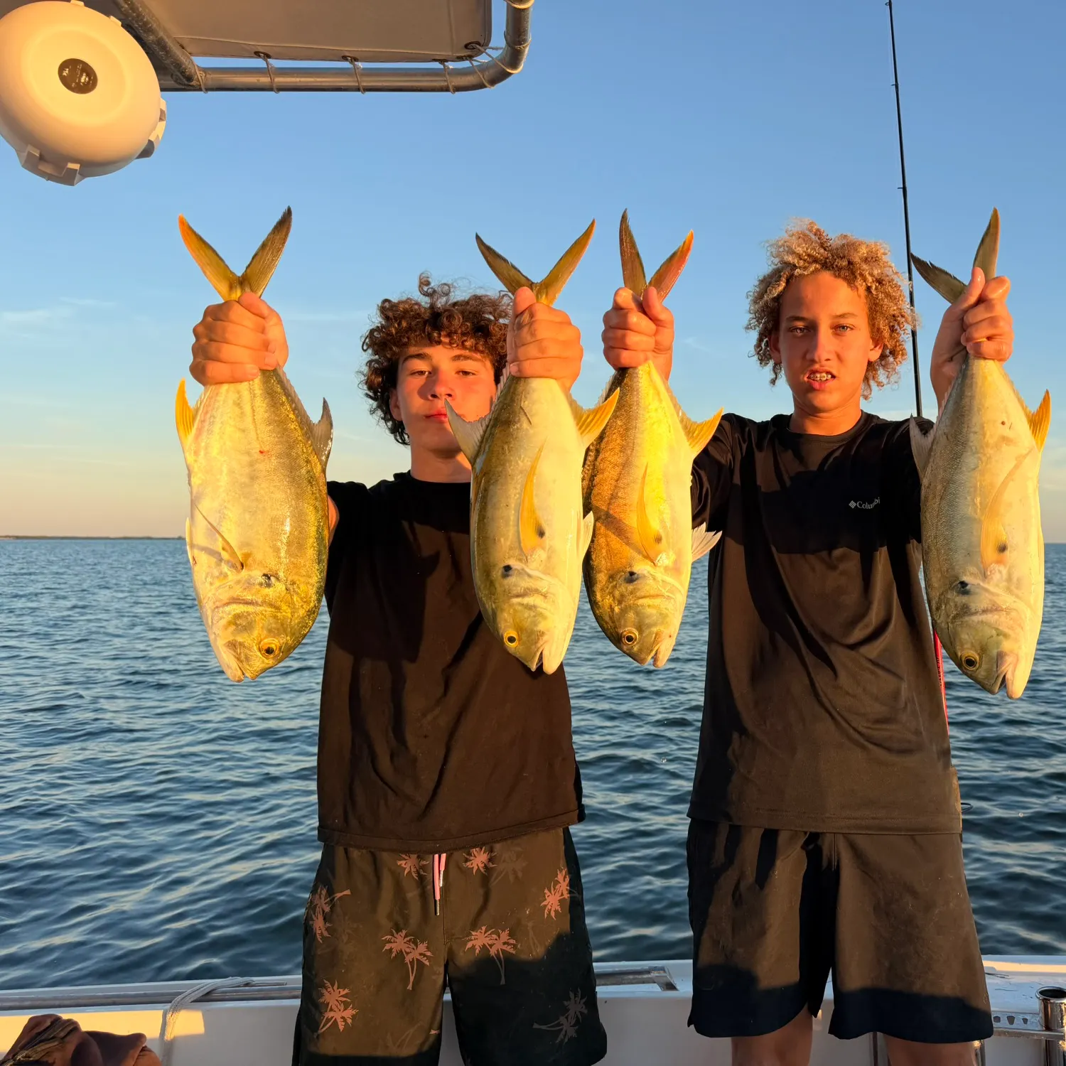 Crevalle jack caught on Fishbrain