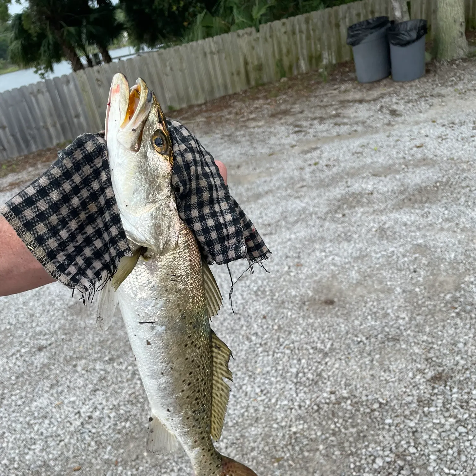 catch