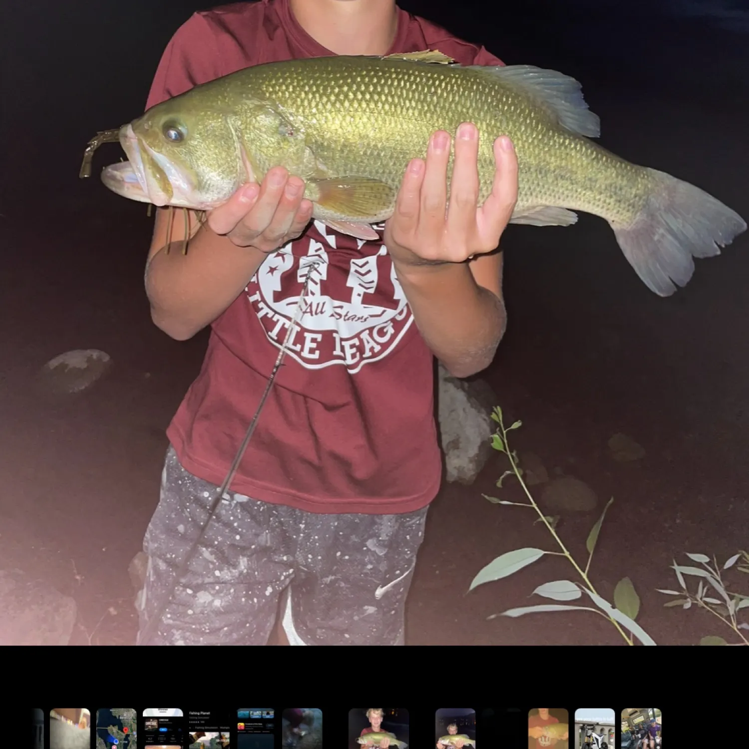 recently logged catches