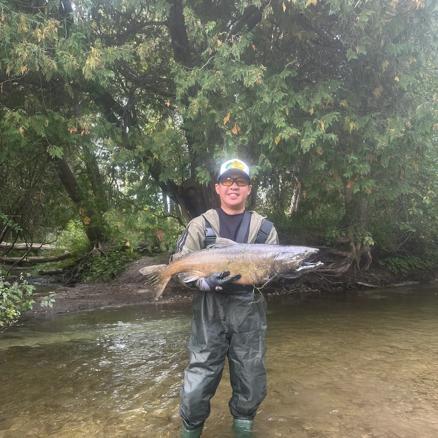 Chinook salmon caught on Fishbrain
