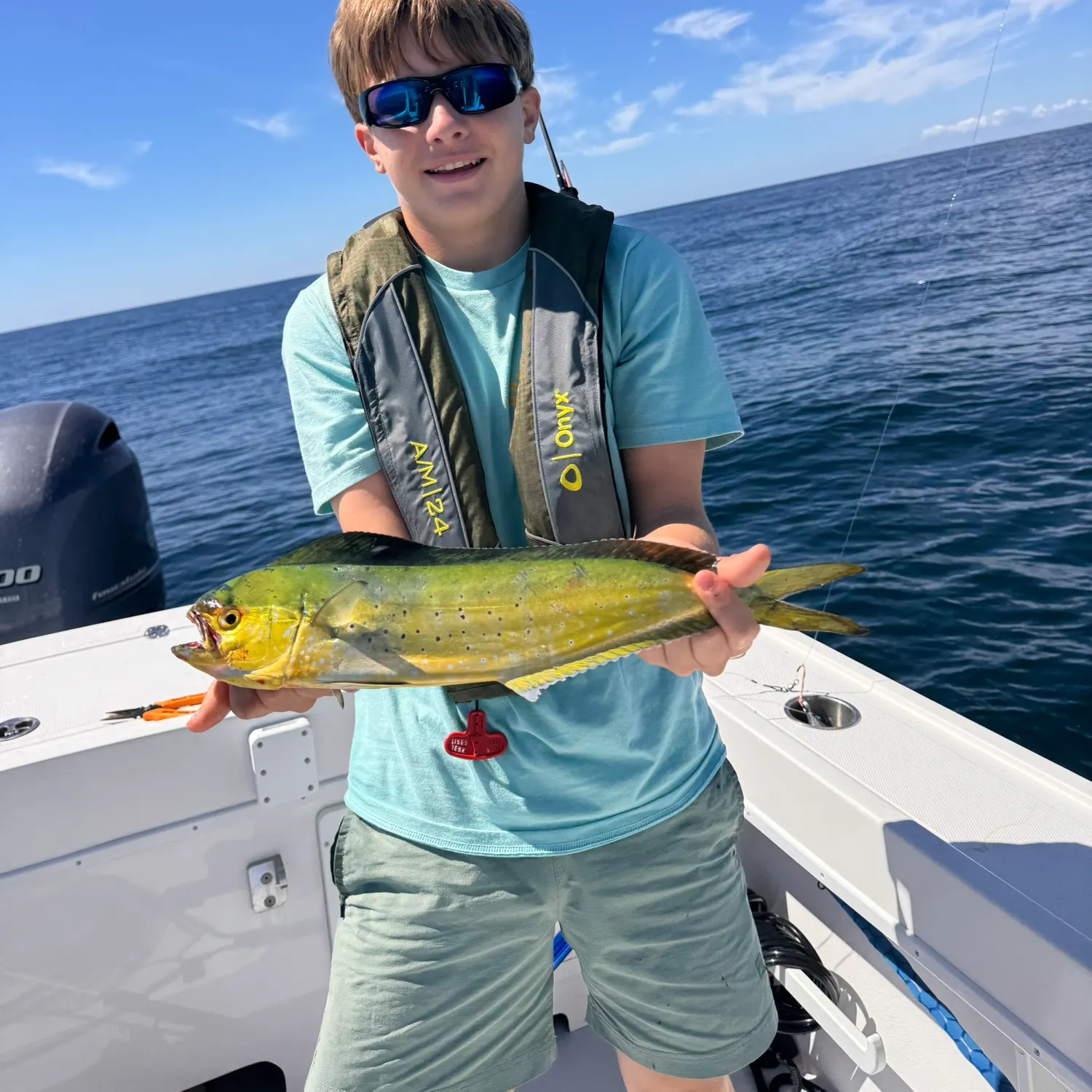 Common dolphinfish caught on Fishbrain