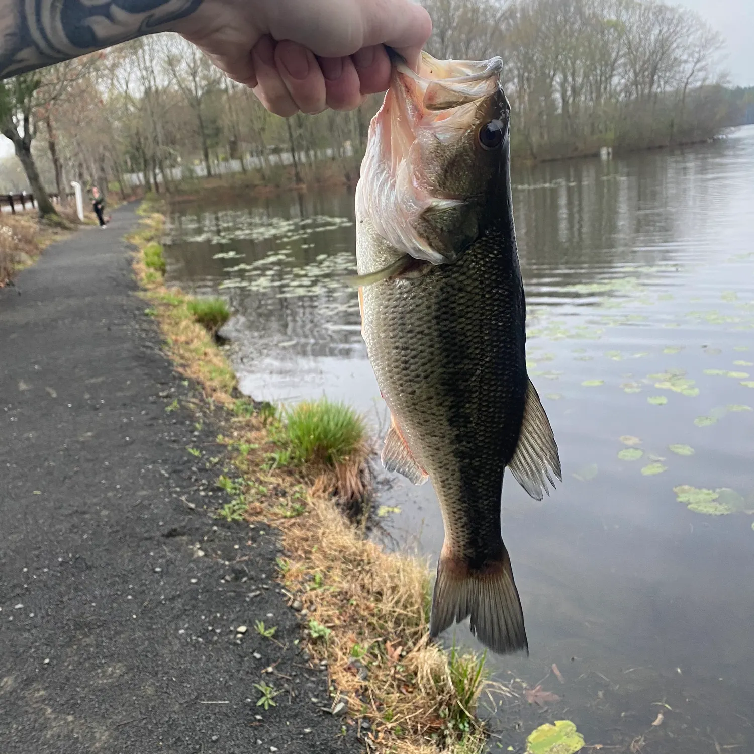 catch