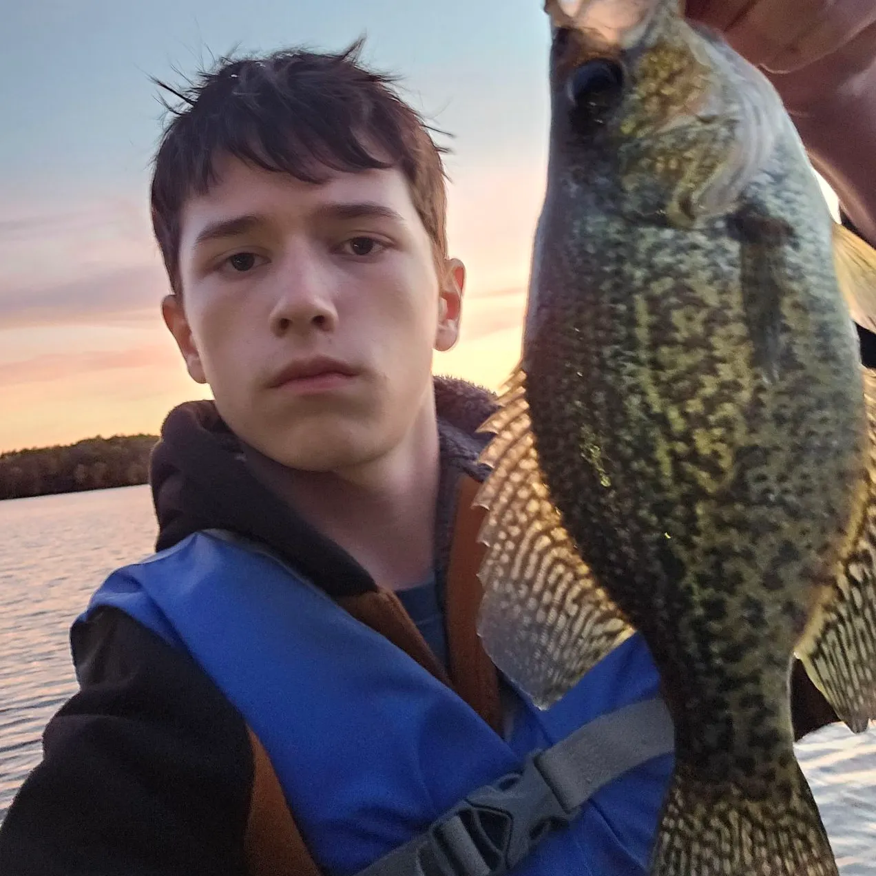 Black crappie caught on Fishbrain