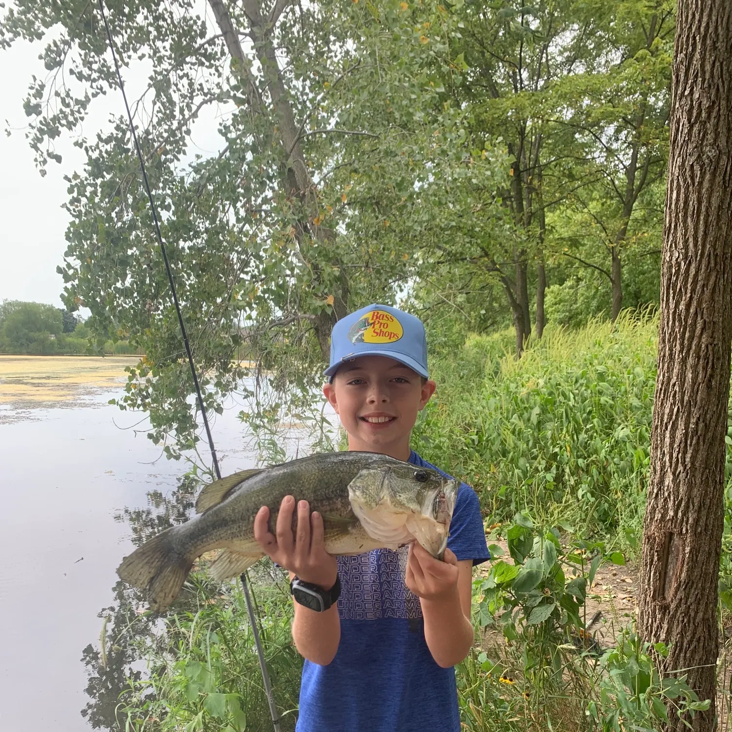 Largemouth bass caught on Fishbrain