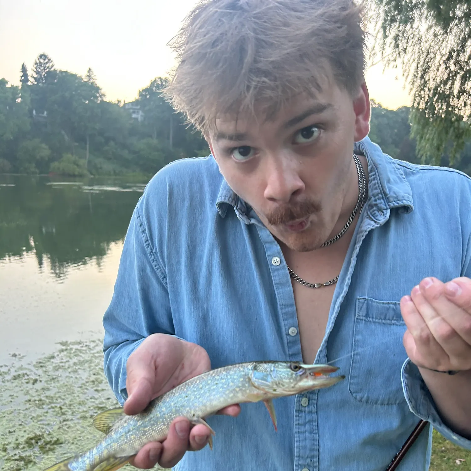 Northern pike caught on Fishbrain