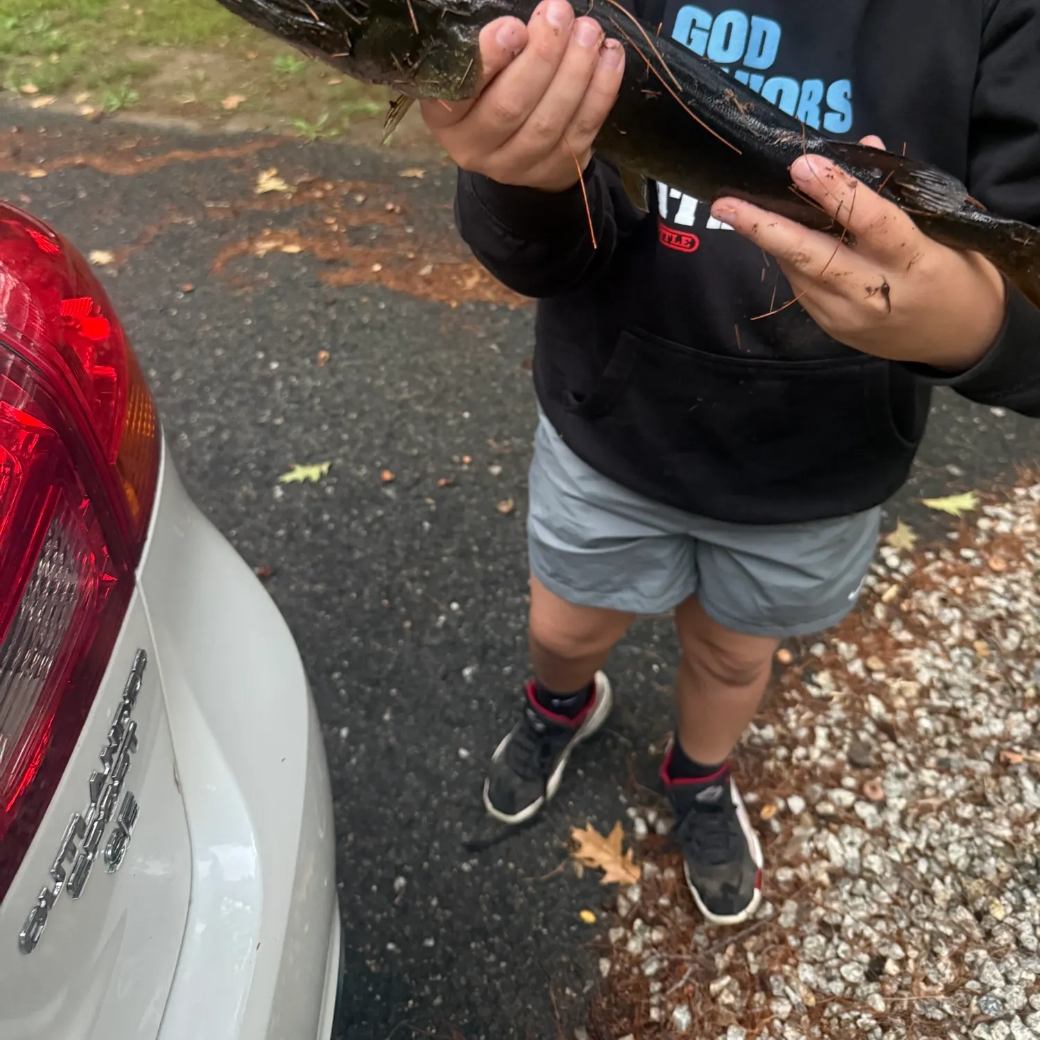 Chain pickerel caught on Fishbrain