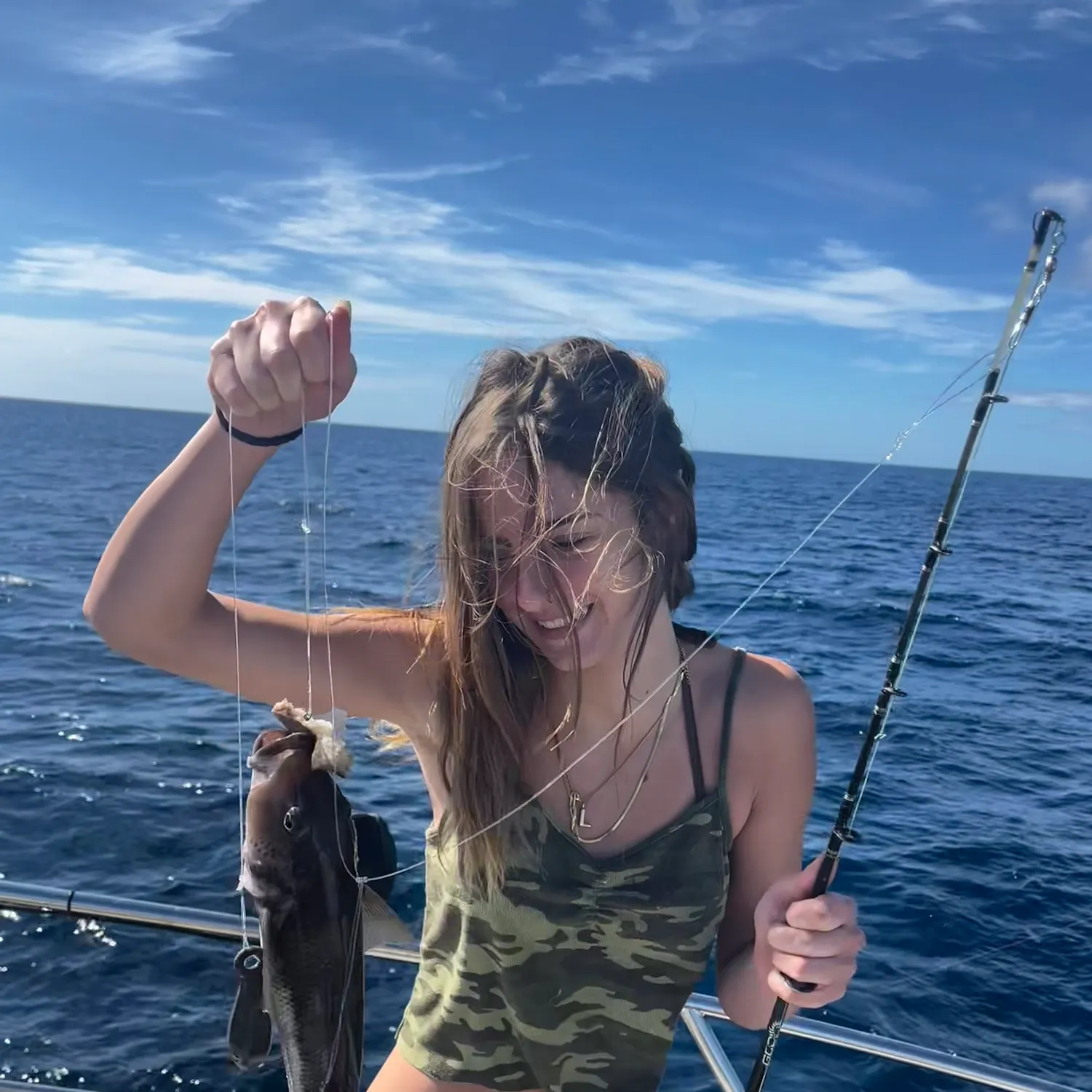 The most recent Blue cod catches on Fishbrain