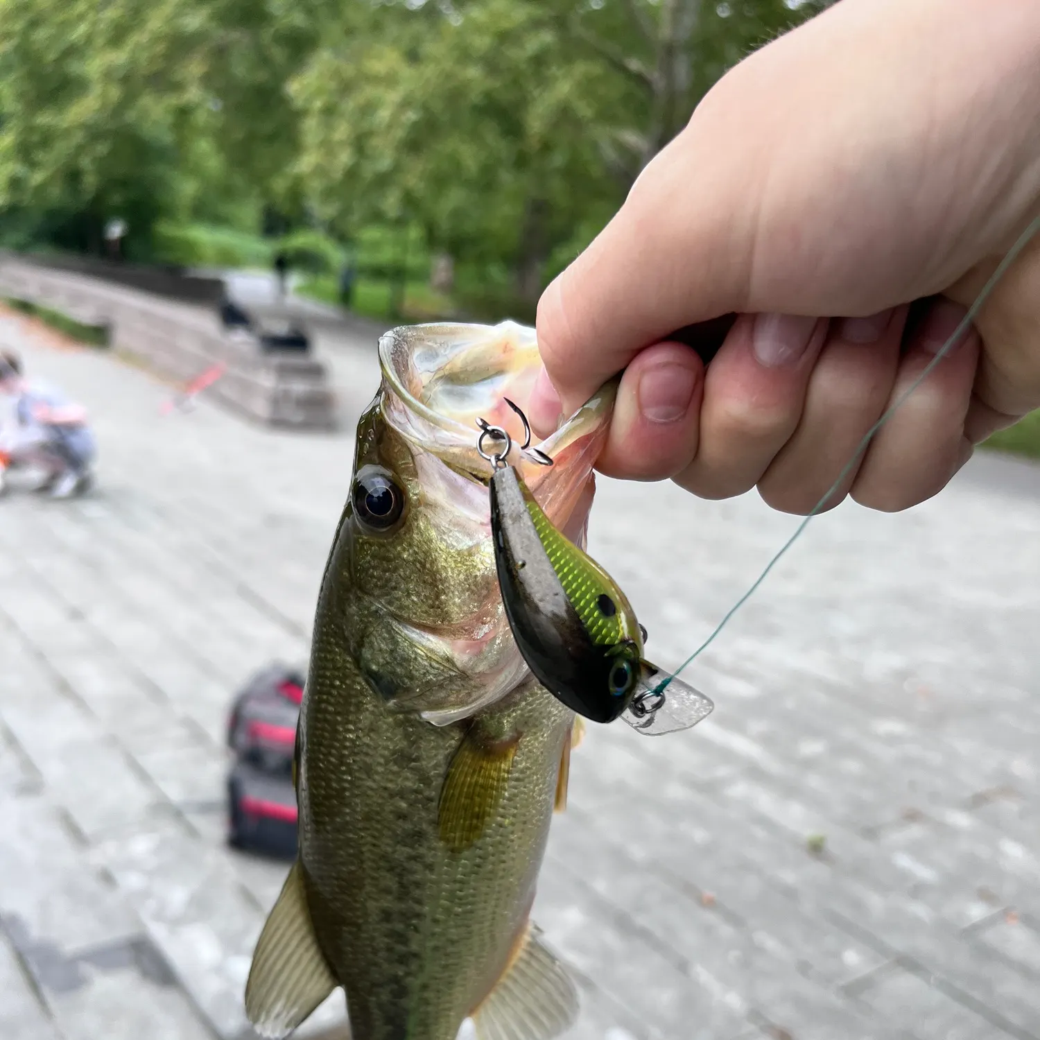 catch