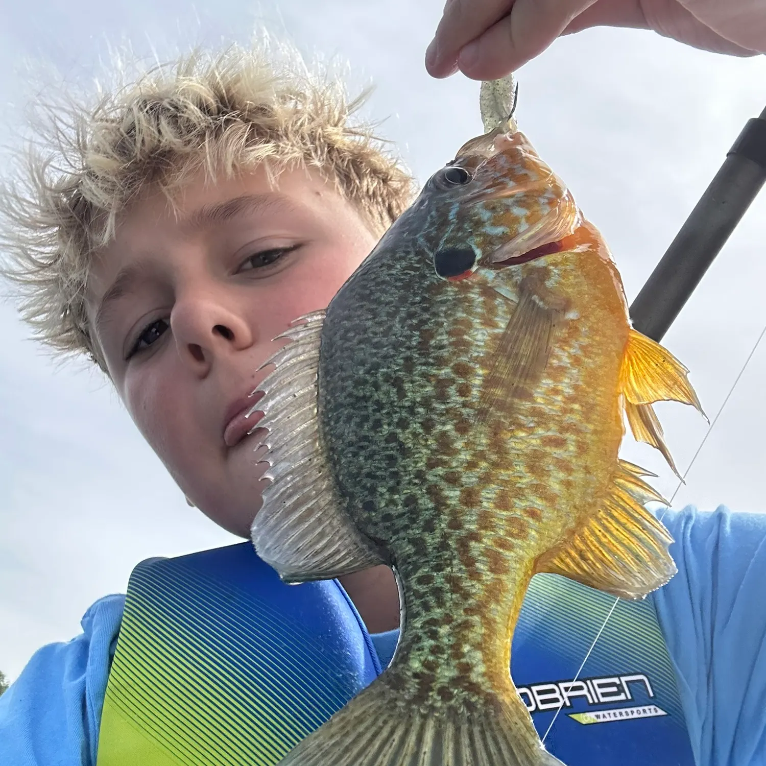 Pumpkinseed caught on Fishbrain