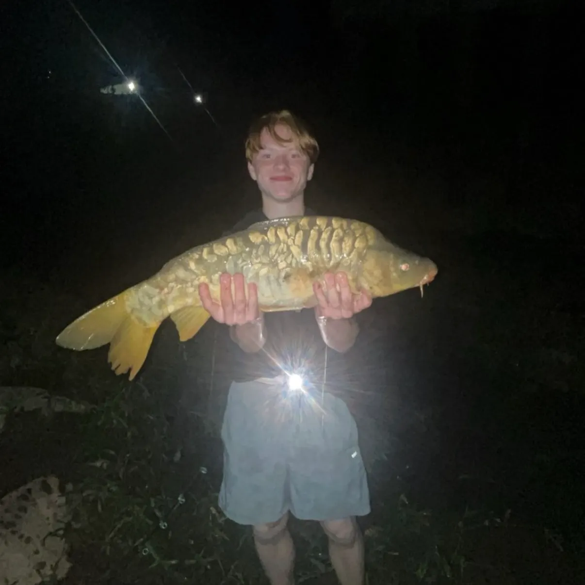 Mirror carp caught on Fishbrain