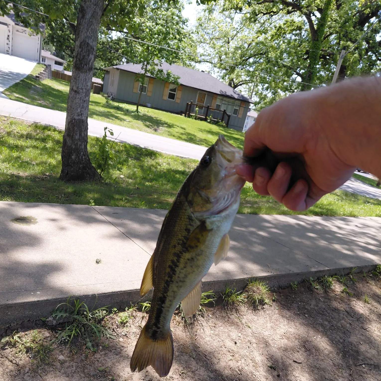 catch