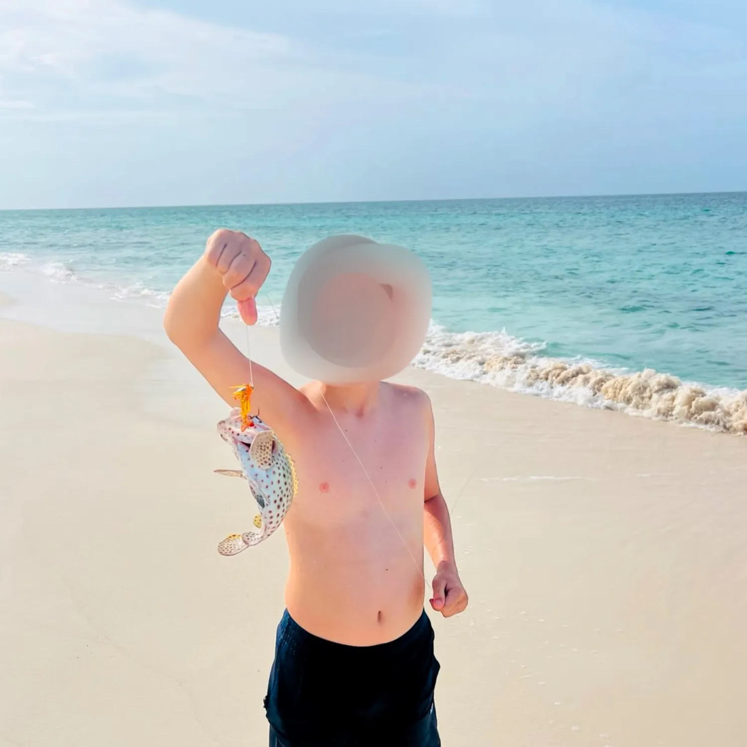 The most recent Orange-spotted grouper catches on Fishbrain