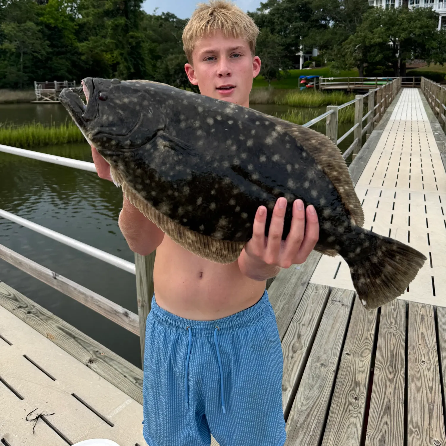 Summer flounder caught on Fishbrain