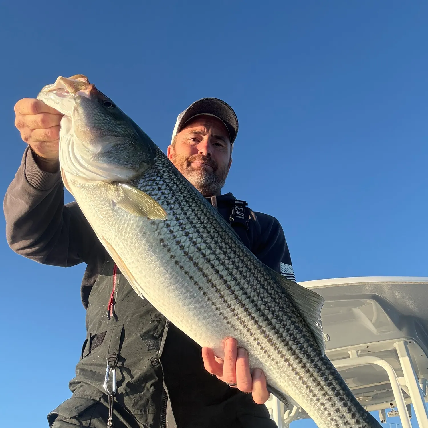 Striped bass caught on Fishbrain