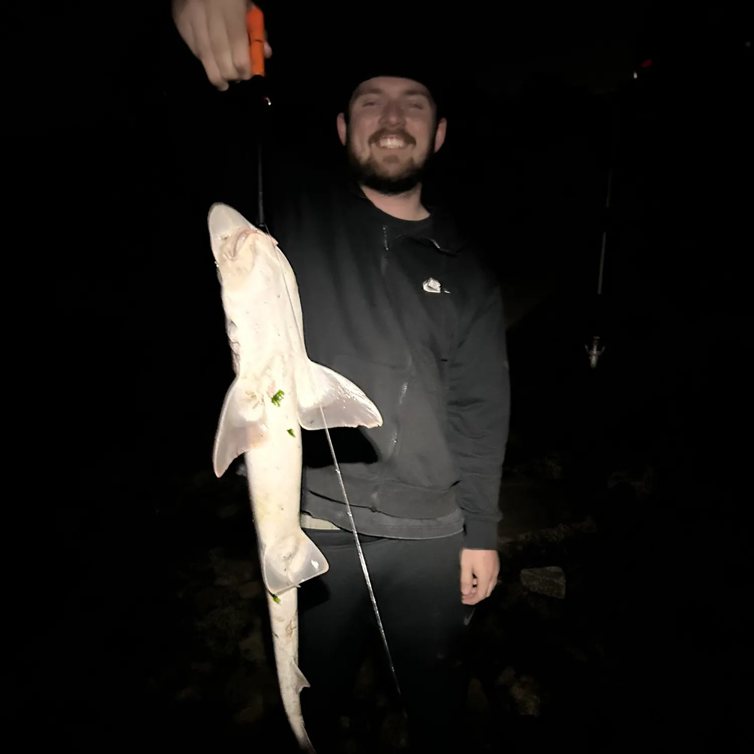 The most recent Grey smooth-hound catches on Fishbrain