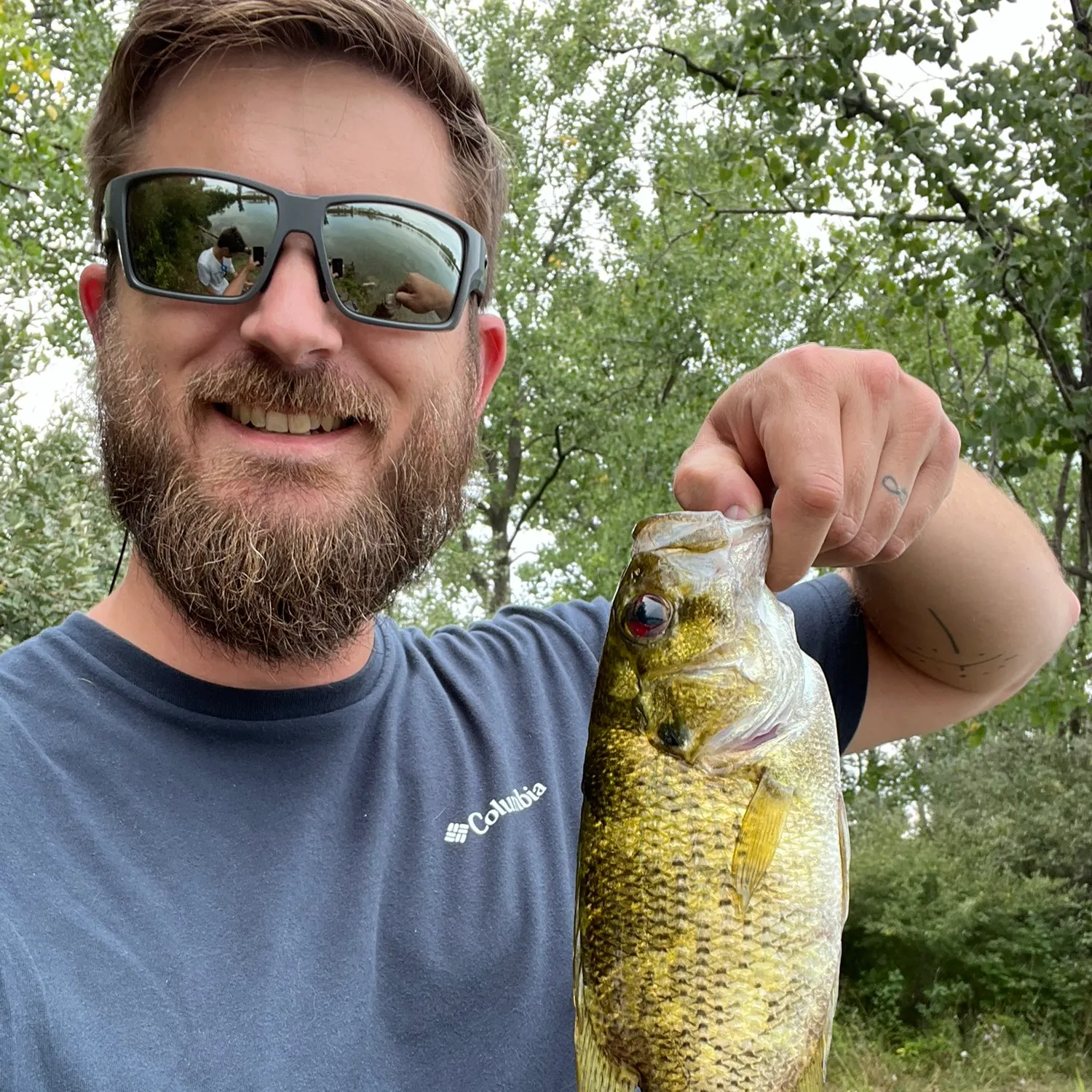 Rock bass caught on Fishbrain