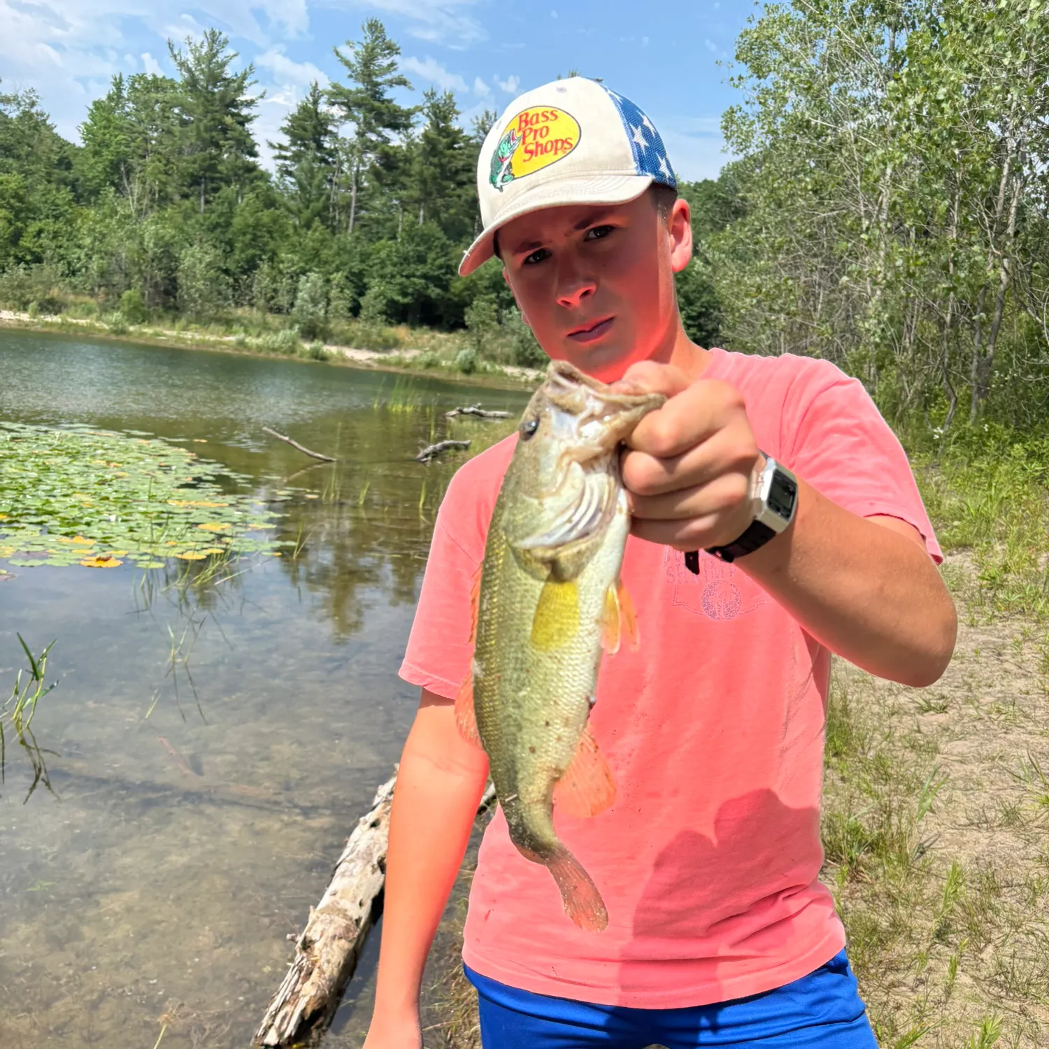 Largemouth bass caught on Fishbrain