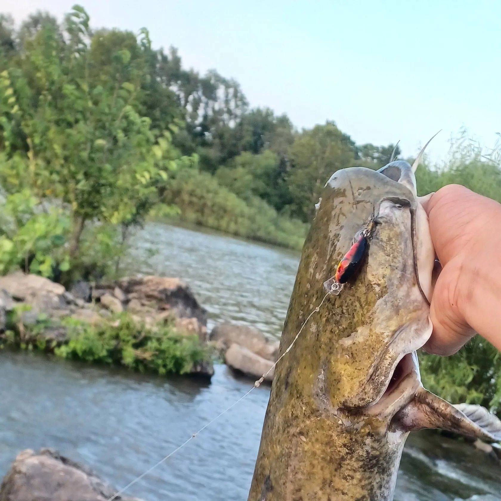 catch
