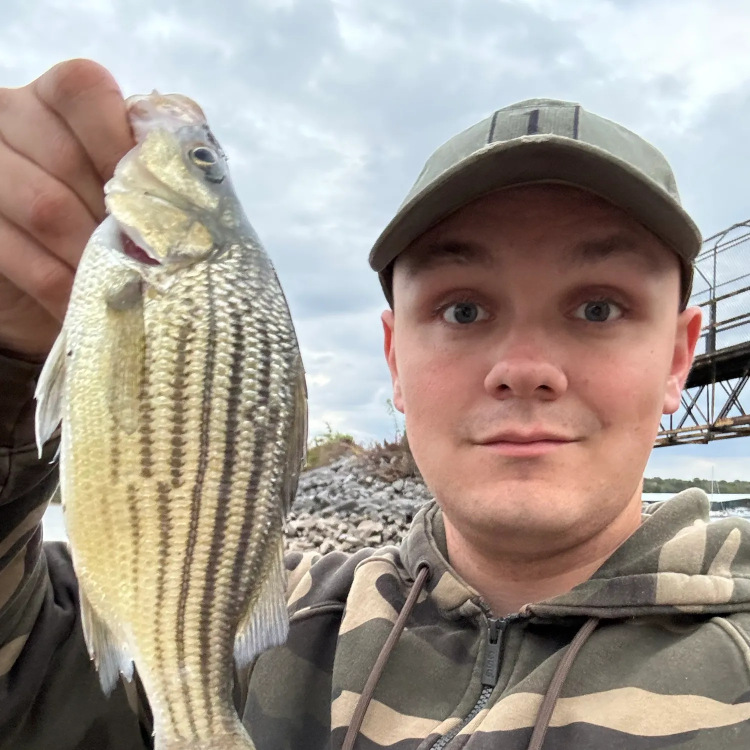 Yellow bass caught on Fishbrain