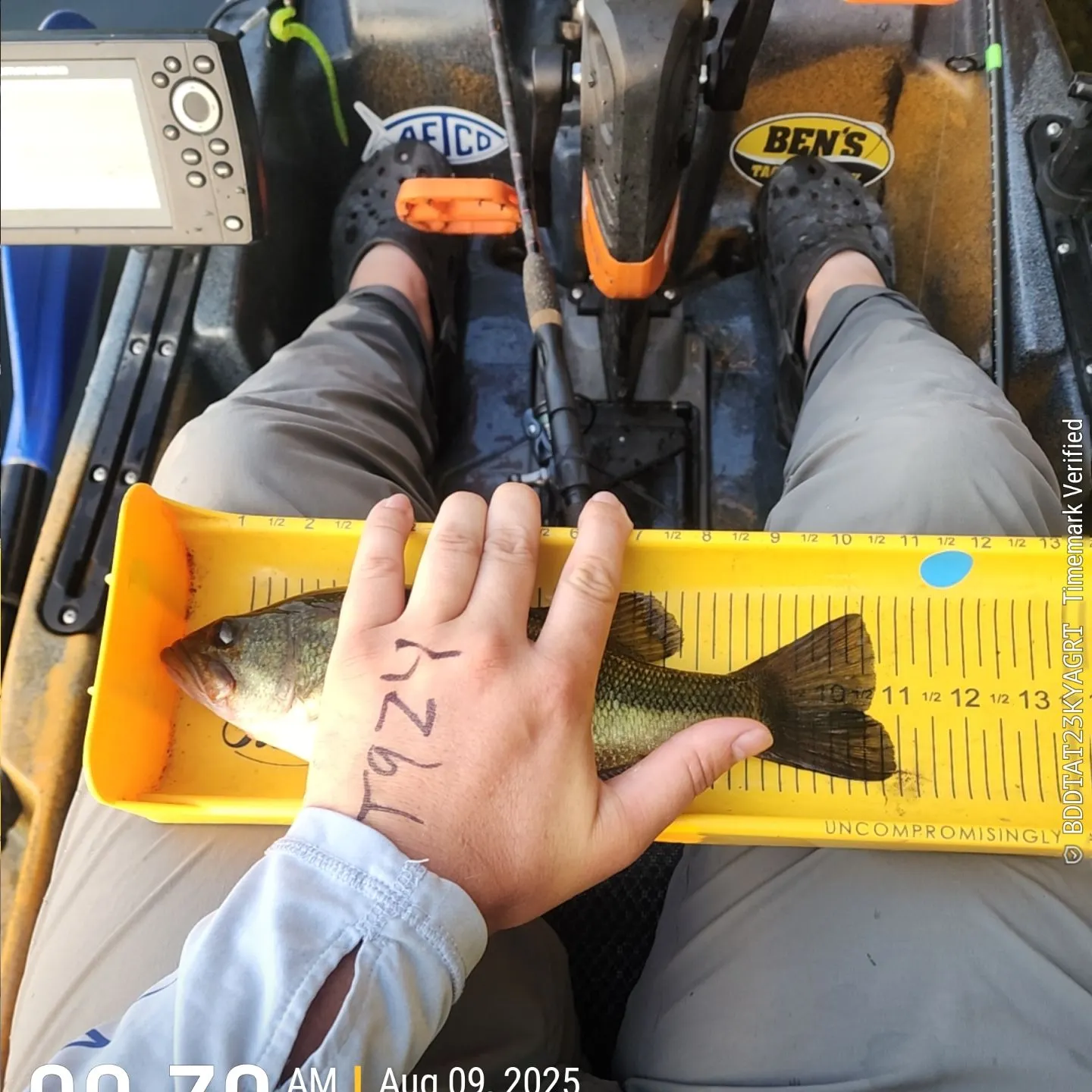 recently logged catches