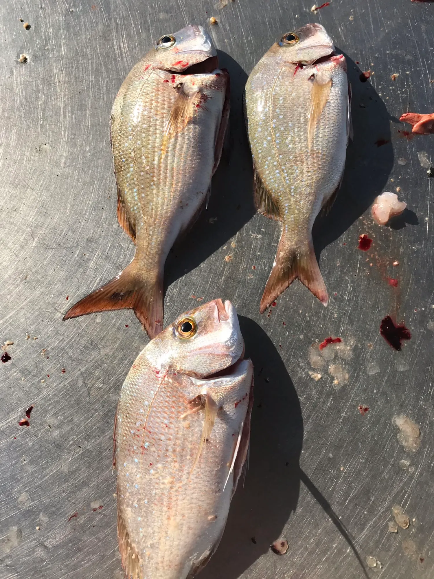 Post image from jzhao6809