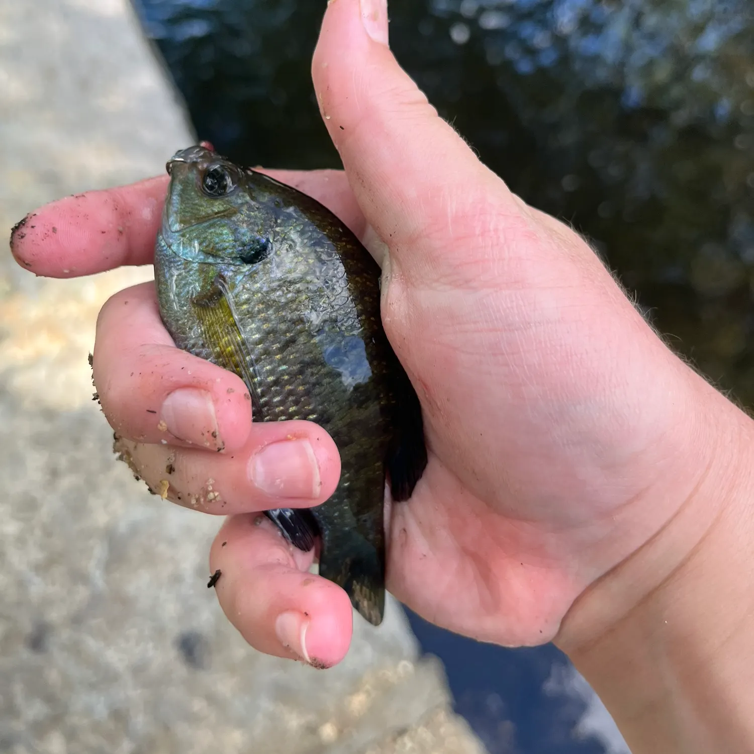 catch