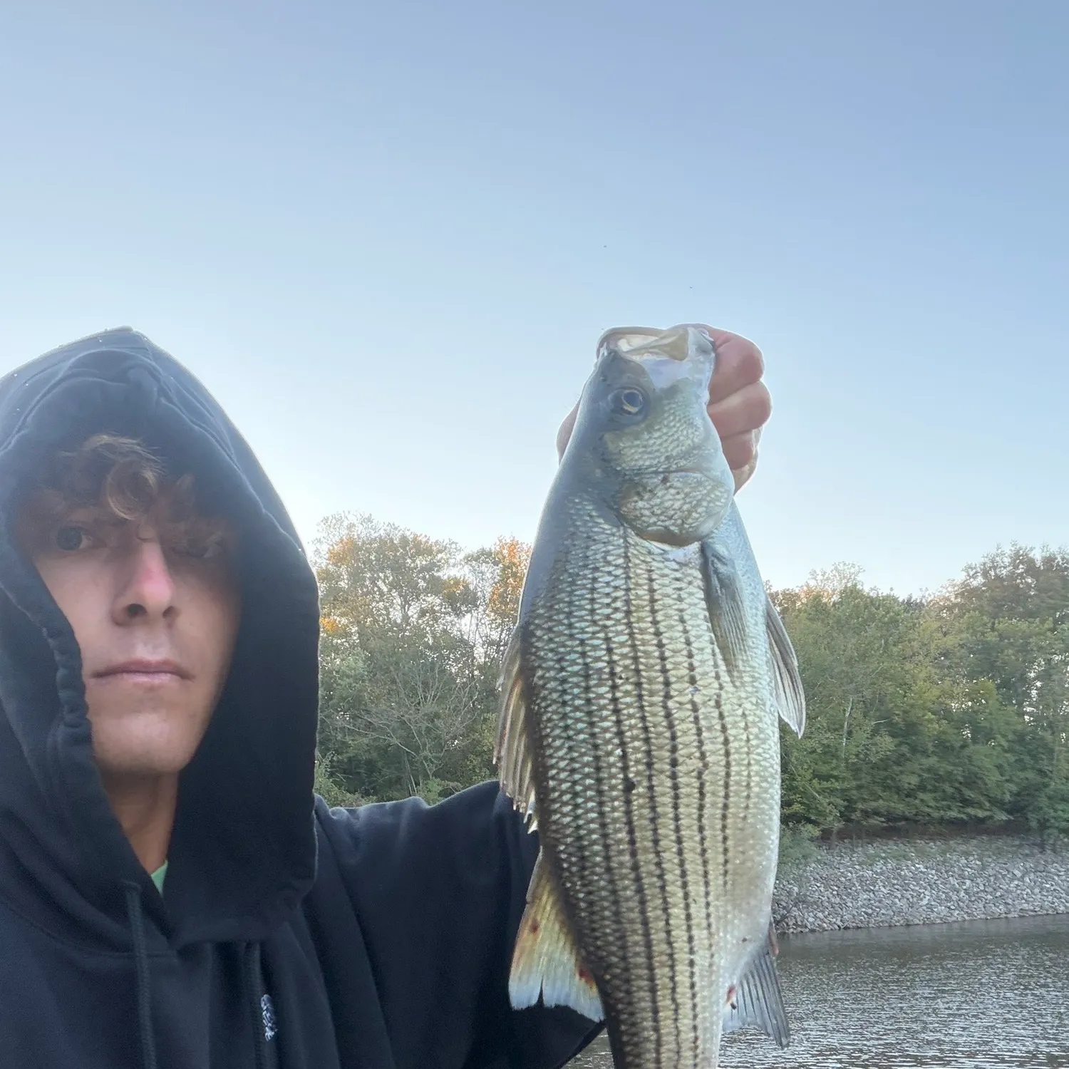Wiper caught on Fishbrain