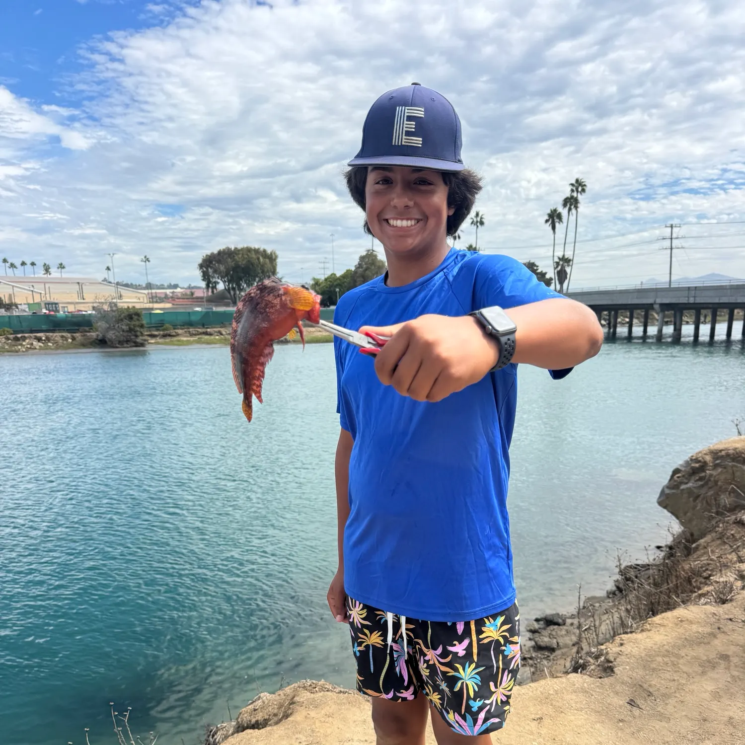 The most recent California scorpionfish catches on Fishbrain
