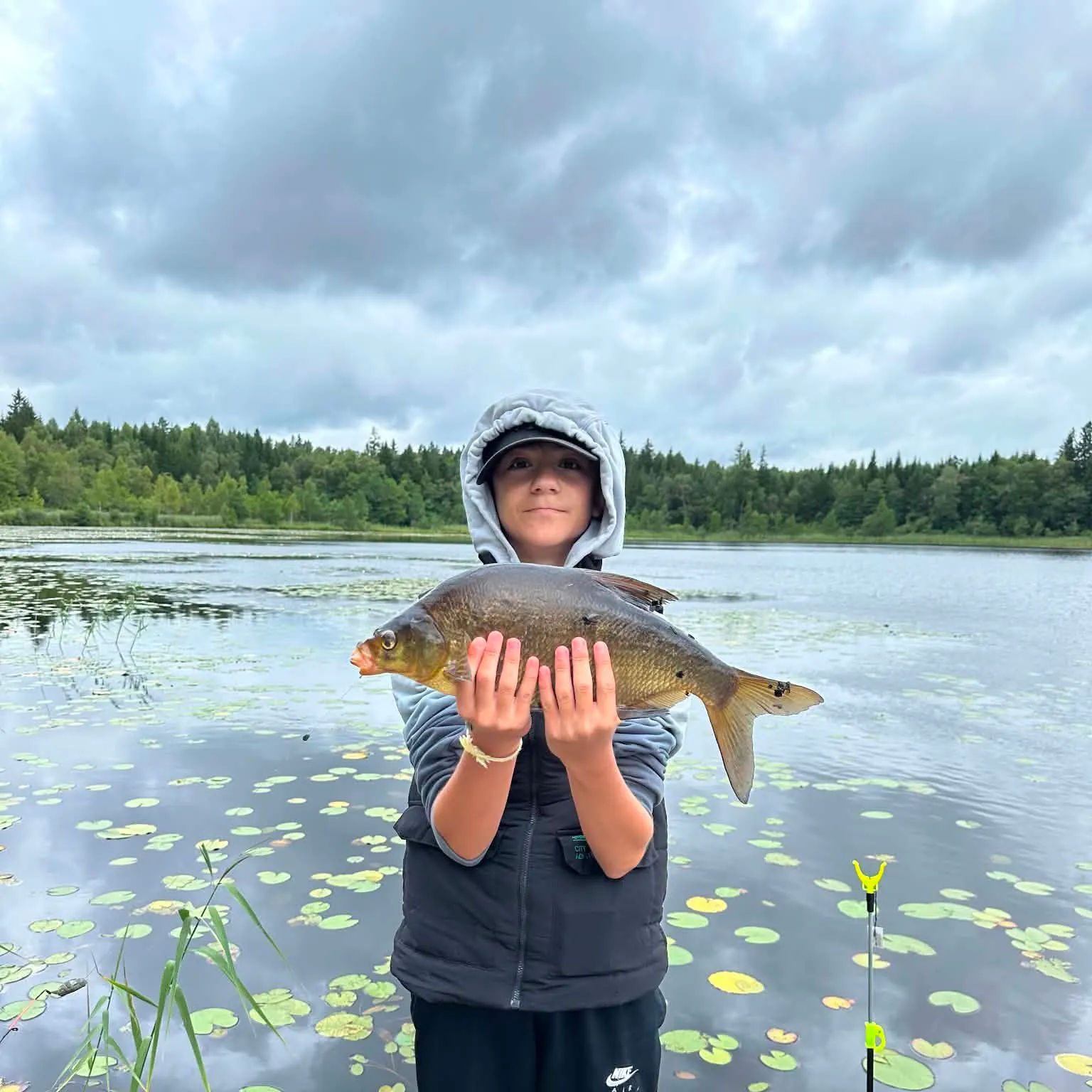 Tench caught on Fishbrain