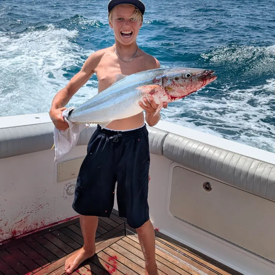 The most recent Rainbow runner catches on Fishbrain