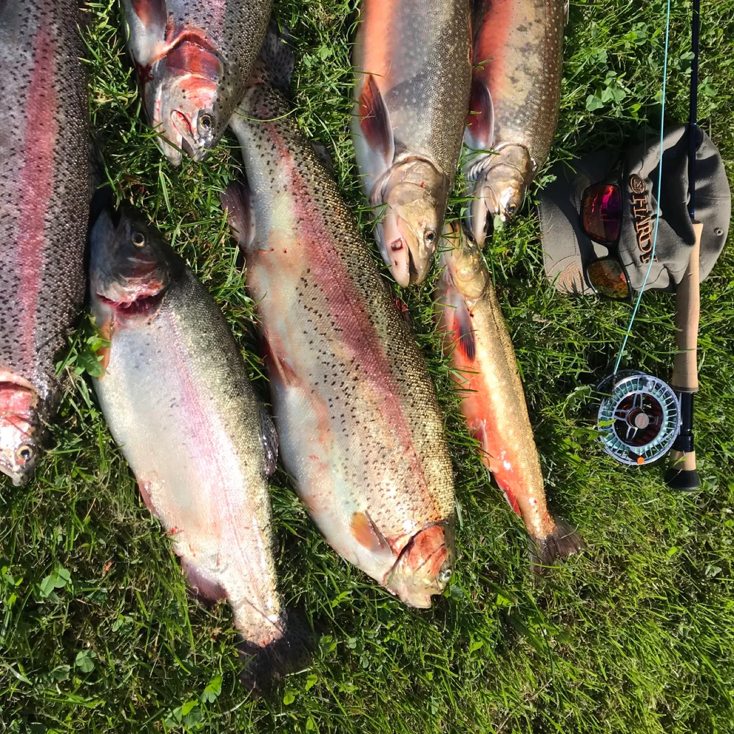 recently logged catches