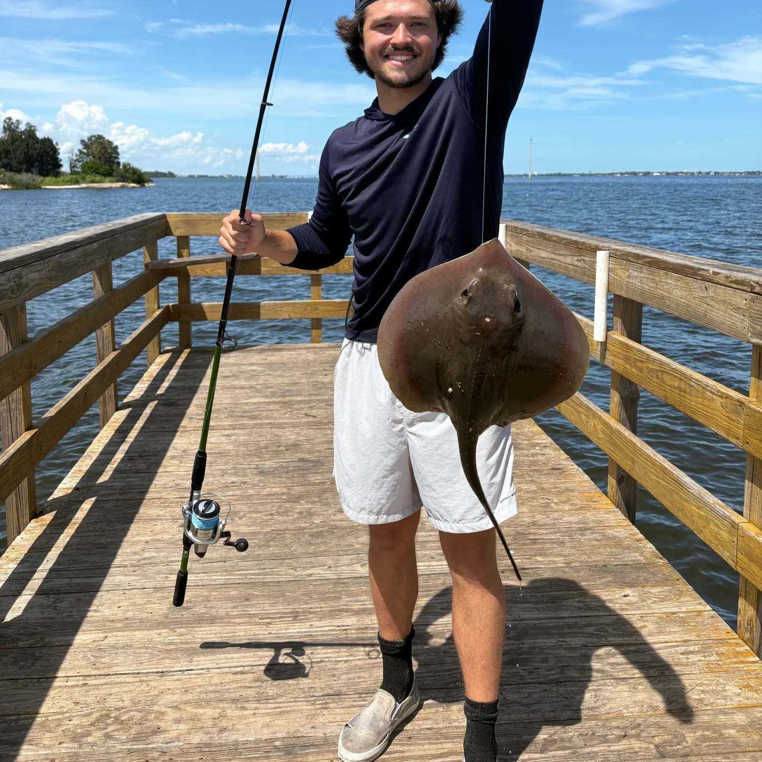 Atlantic stingray caught on Fishbrain