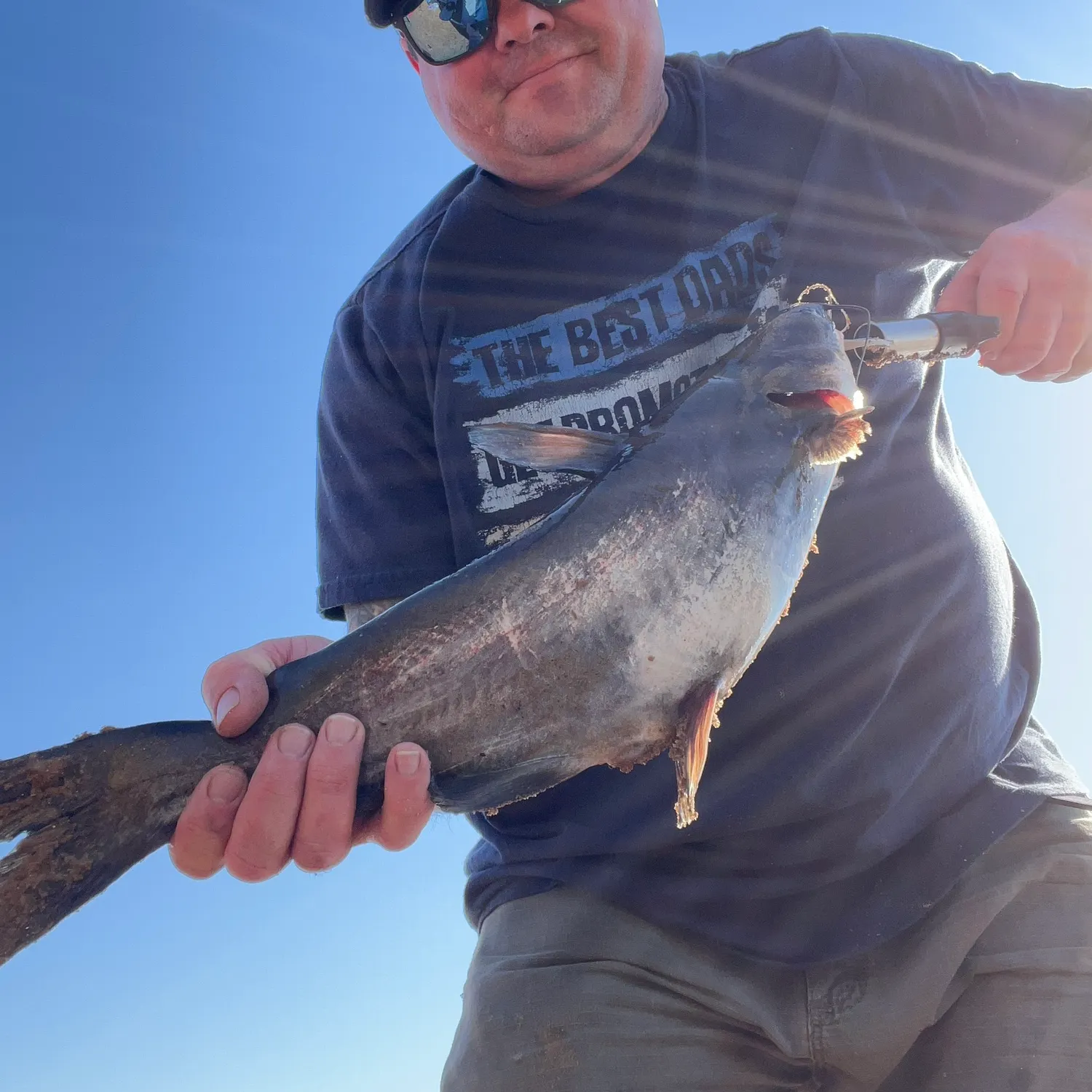 The most recent Blue catfish catches on Fishbrain