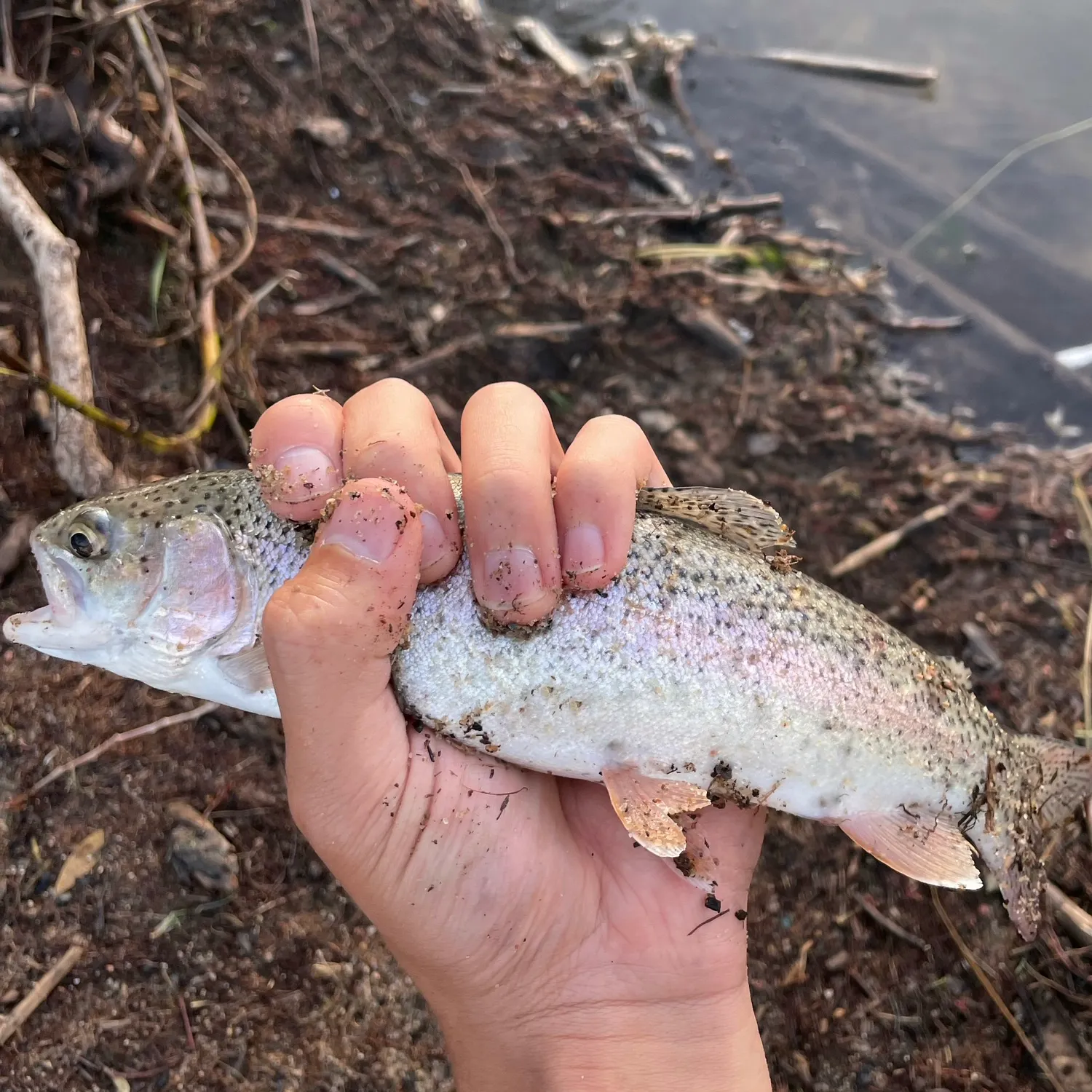 angler catch