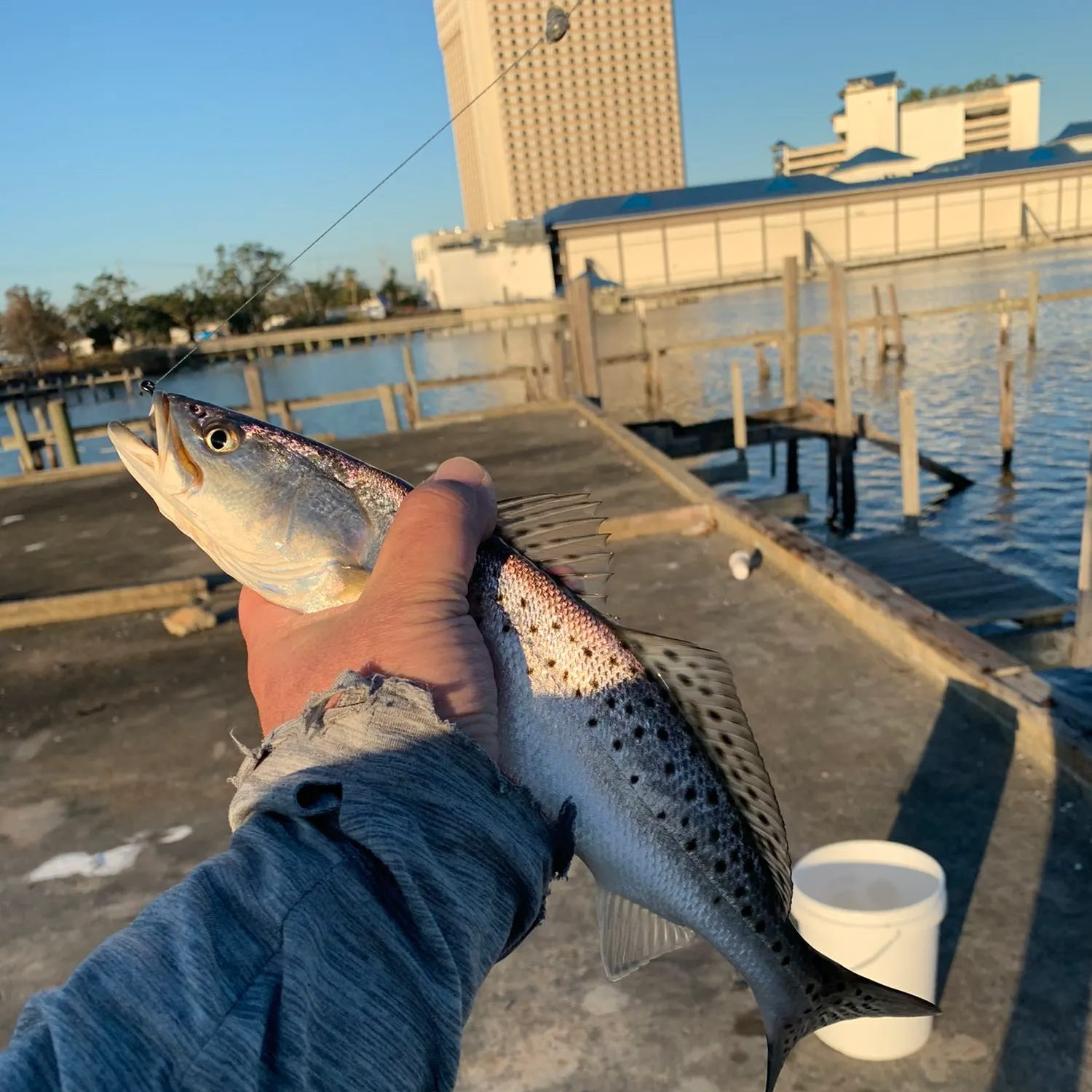 angler catch