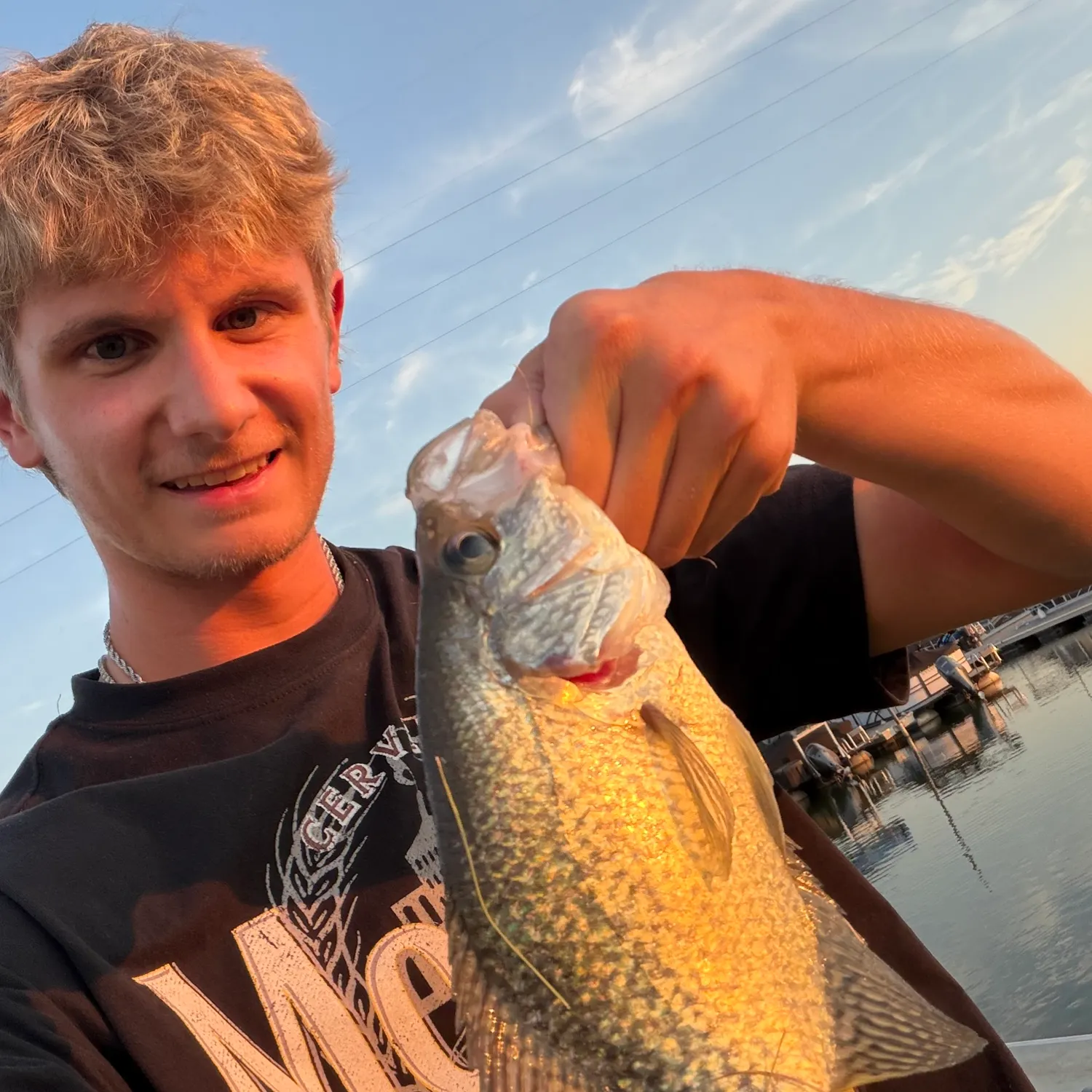 Black crappie caught on Fishbrain