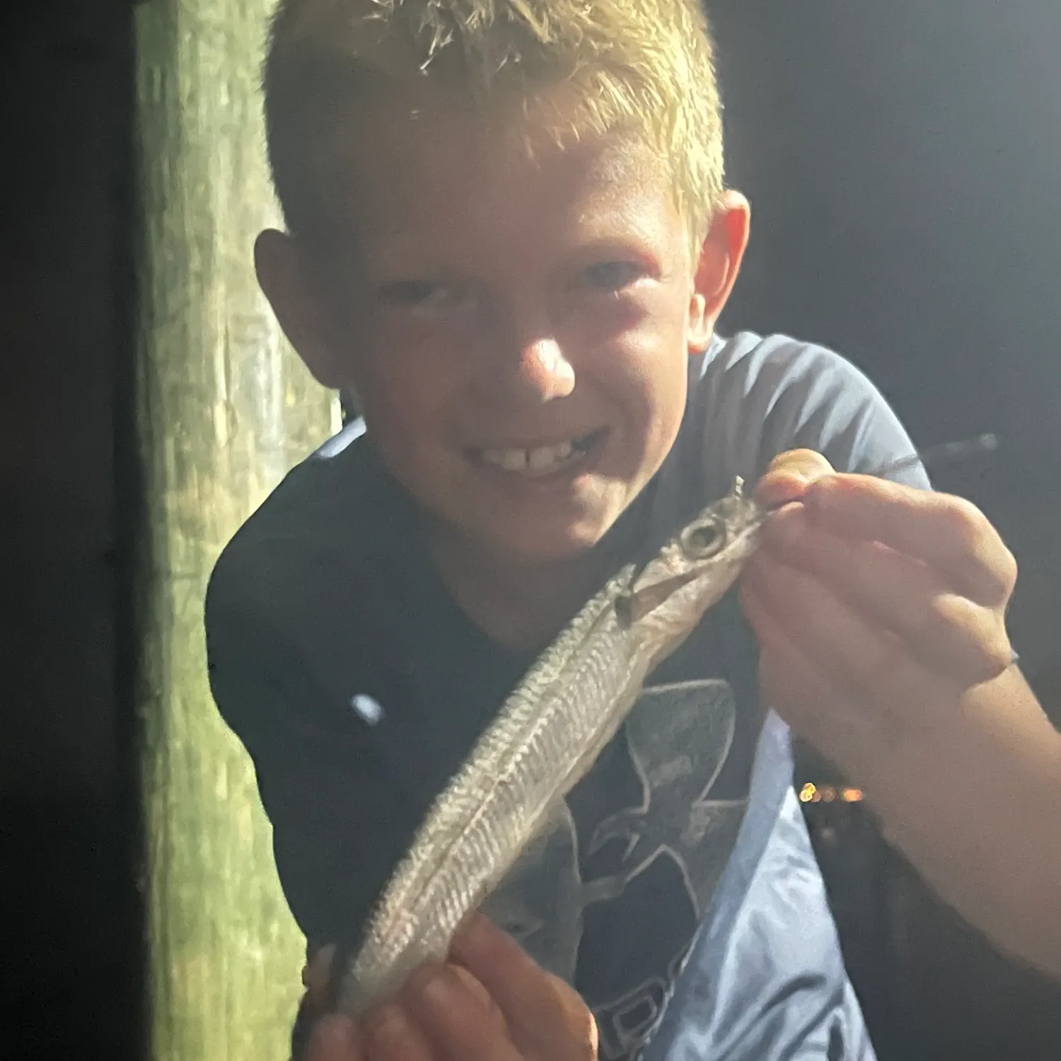 The most recent Ladyfish catches on Fishbrain