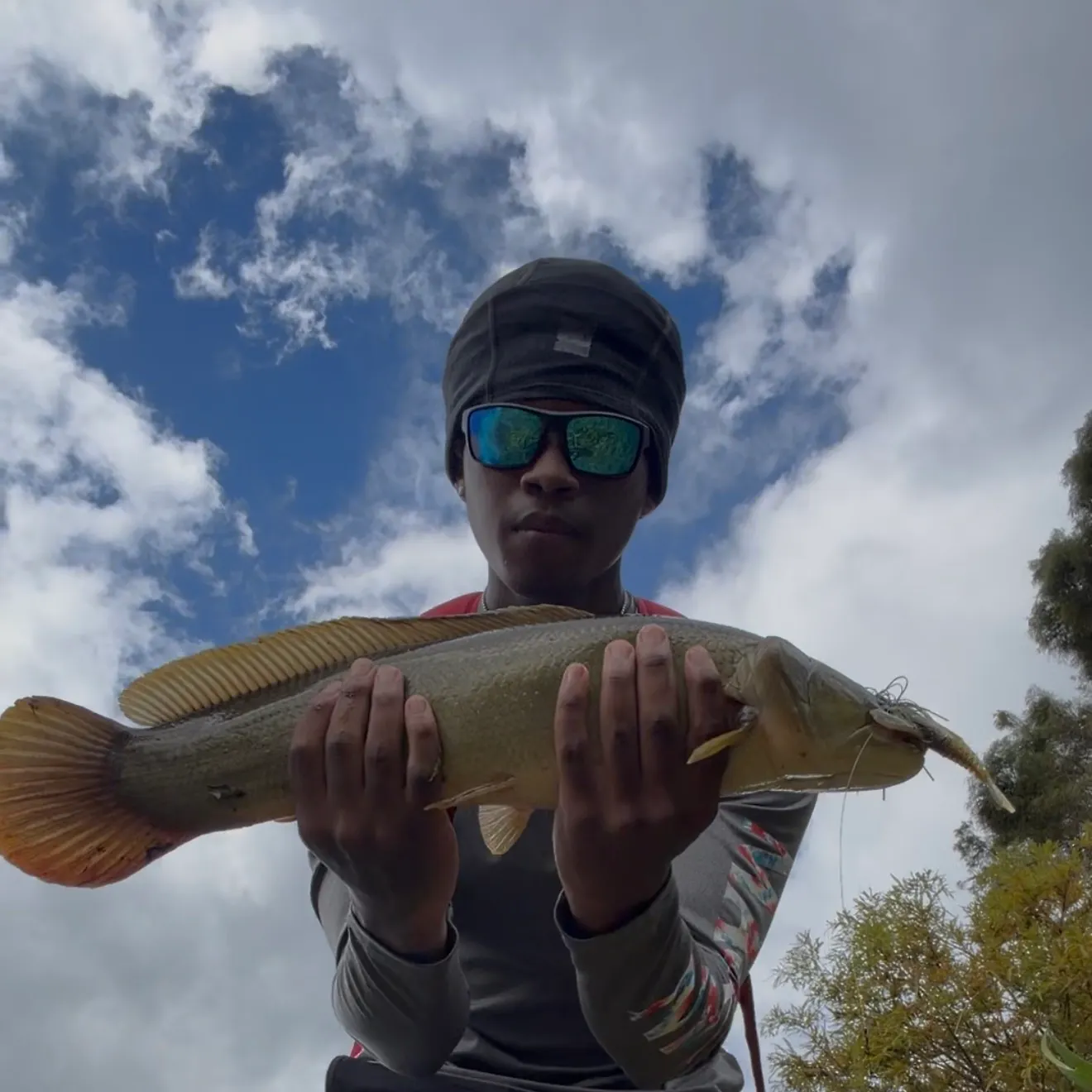 Ruddy bowfin caught on Fishbrain