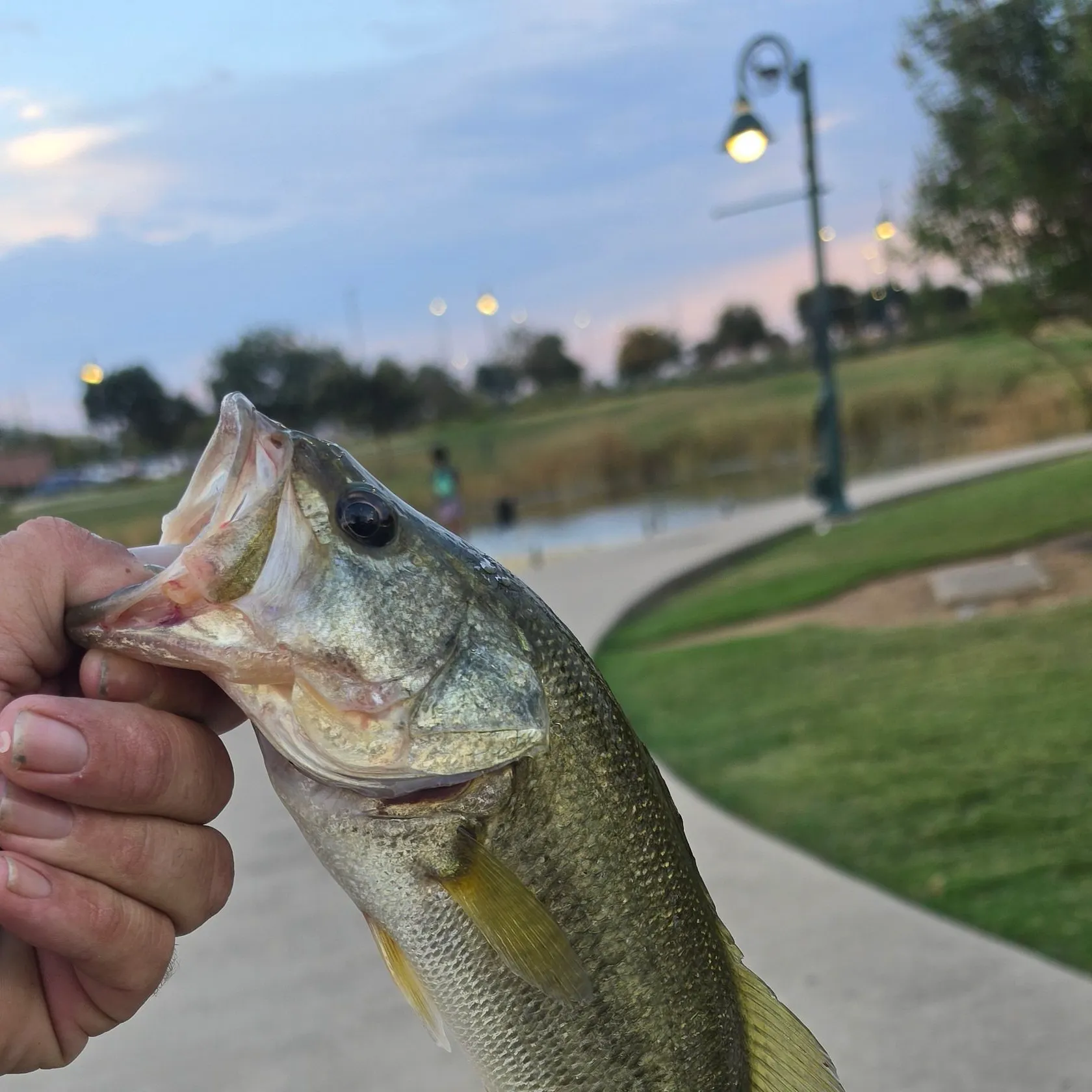 catch