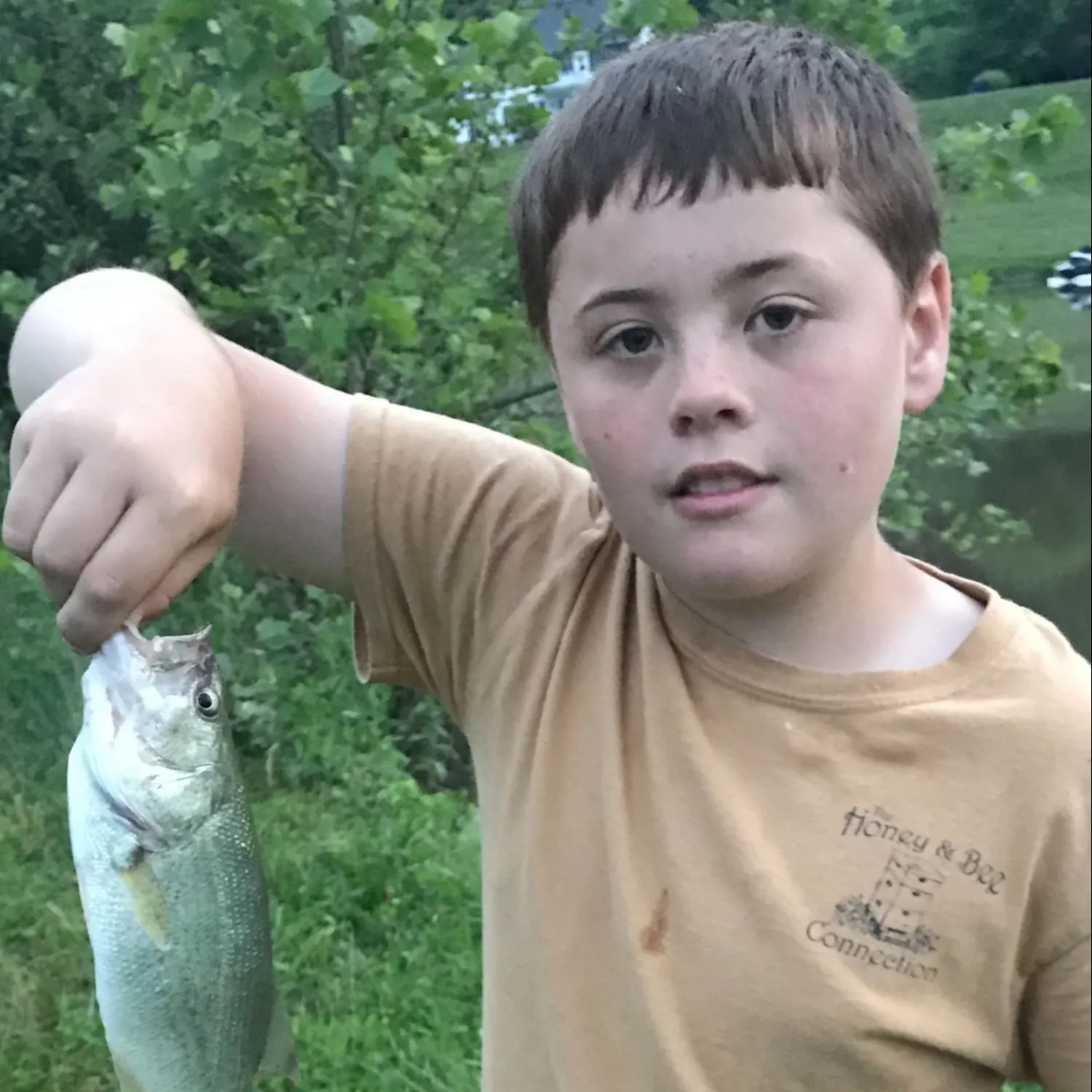 angler catch