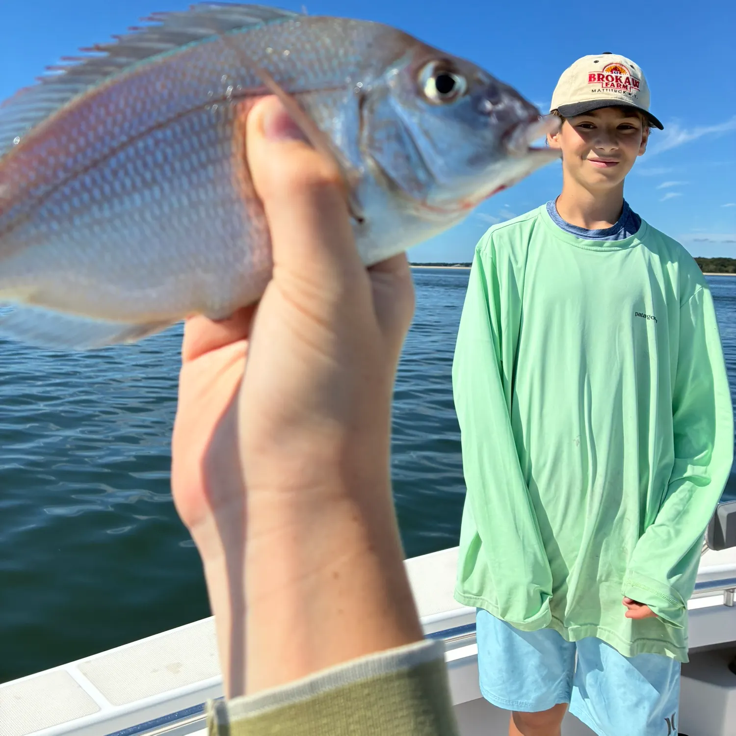 Scup caught on Fishbrain