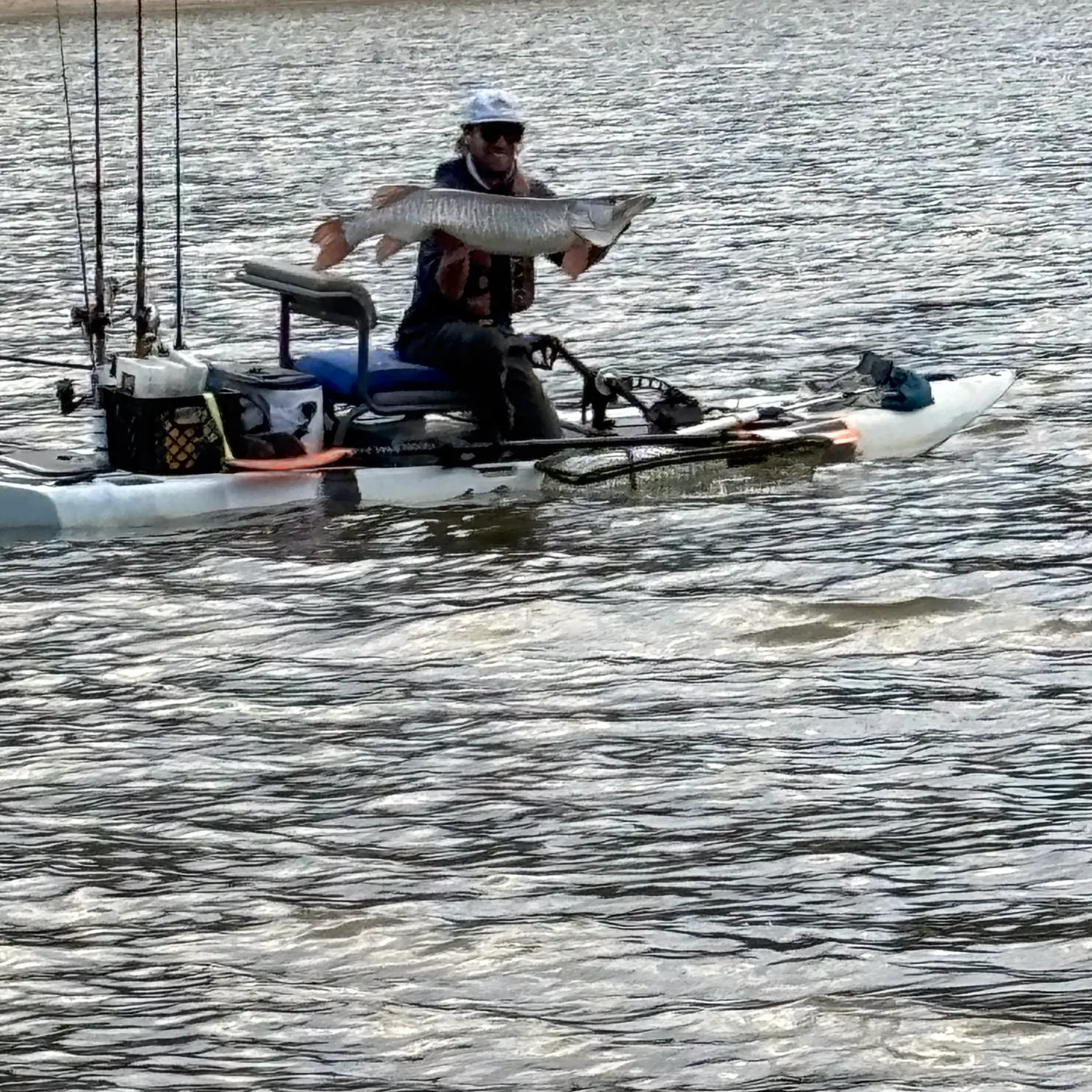 The most recent Tiger muskie catches on Fishbrain