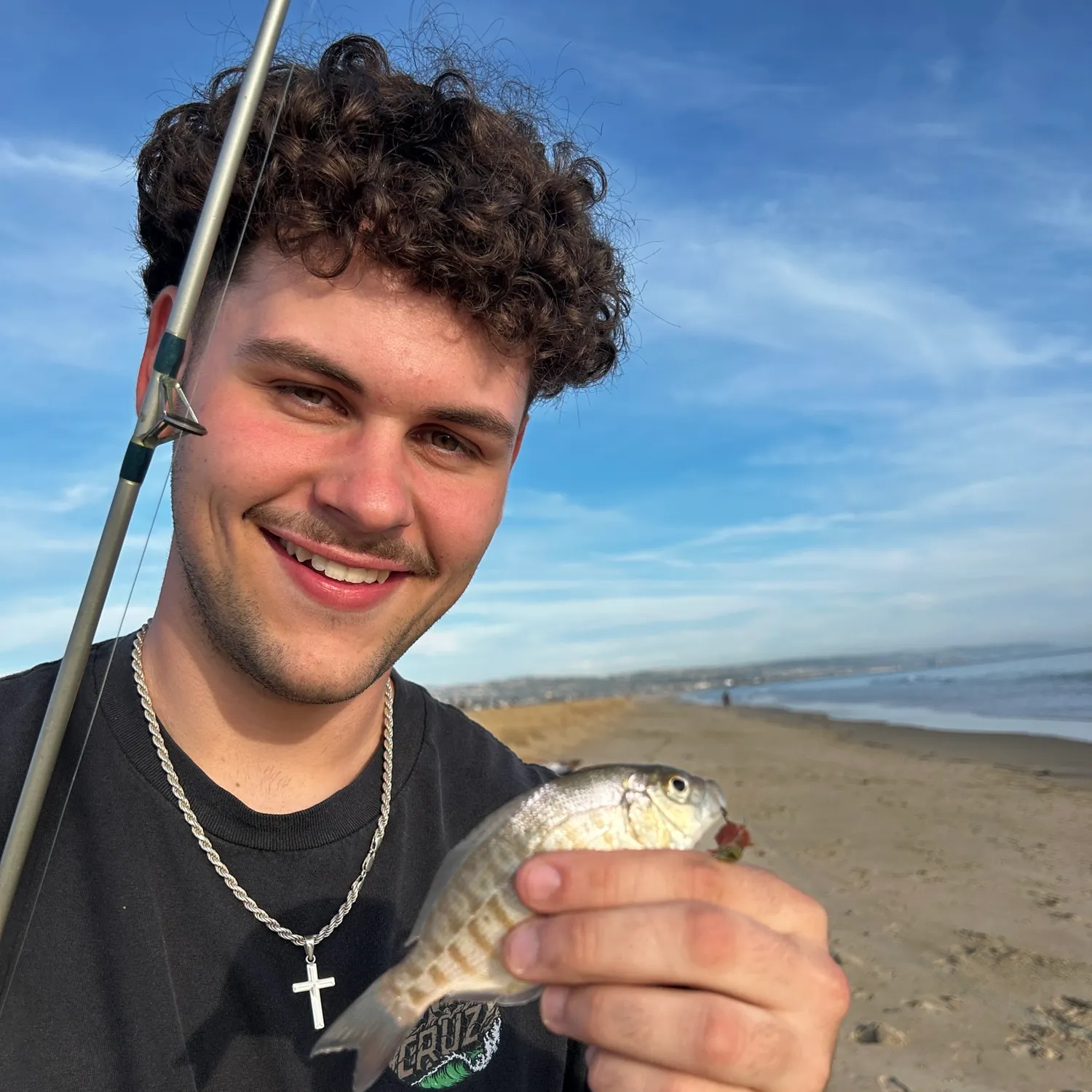 The most recent Barred surfperch catches on Fishbrain