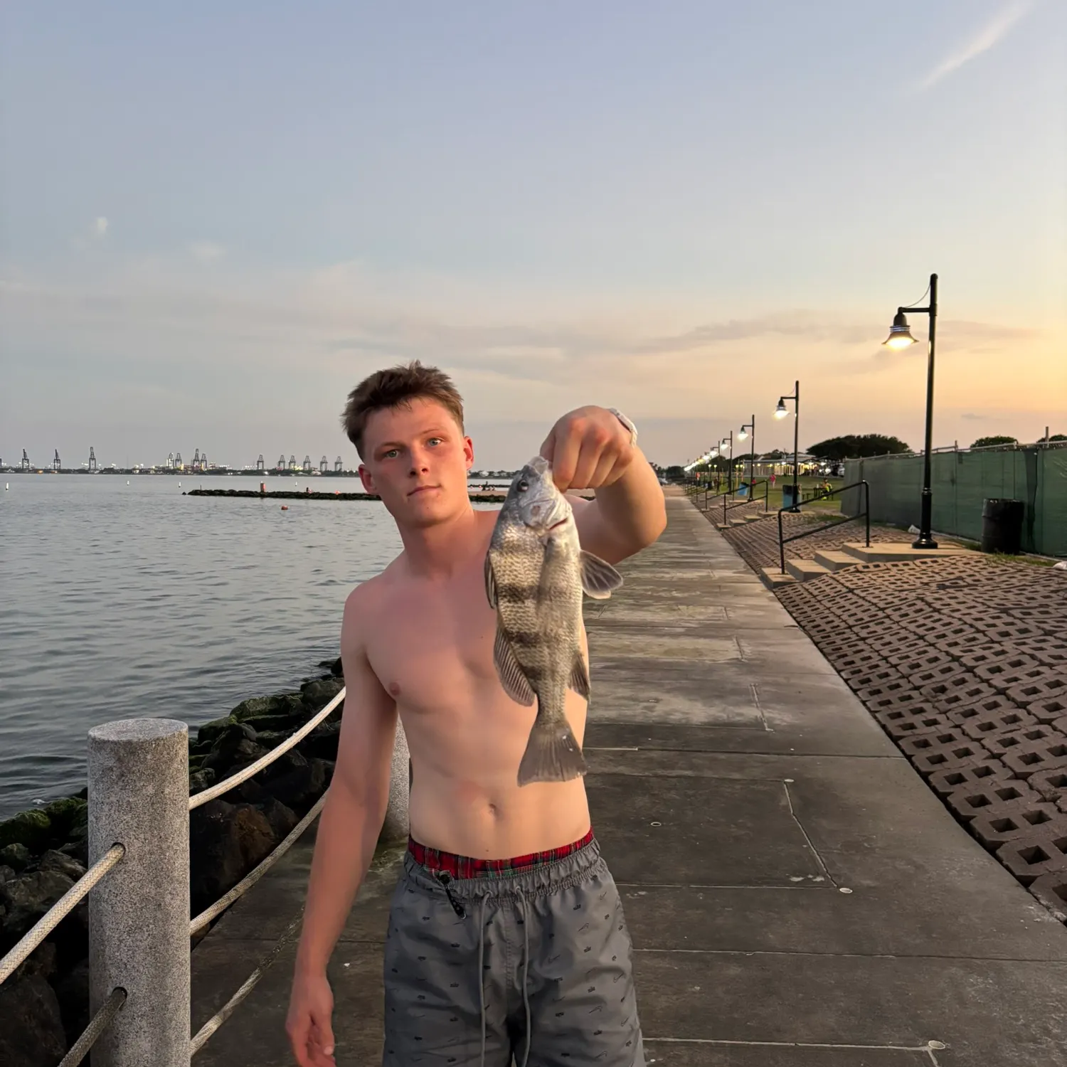 The most recent Black drum catches on Fishbrain