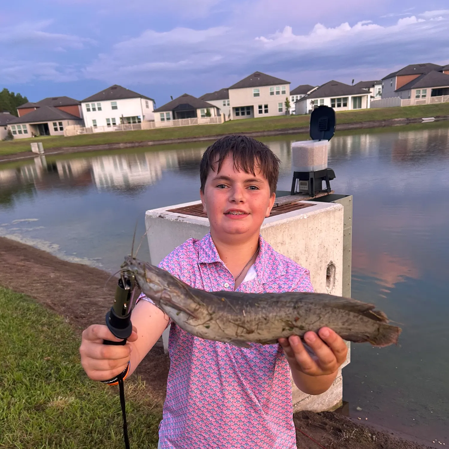 The most recent North African catfish catches on Fishbrain