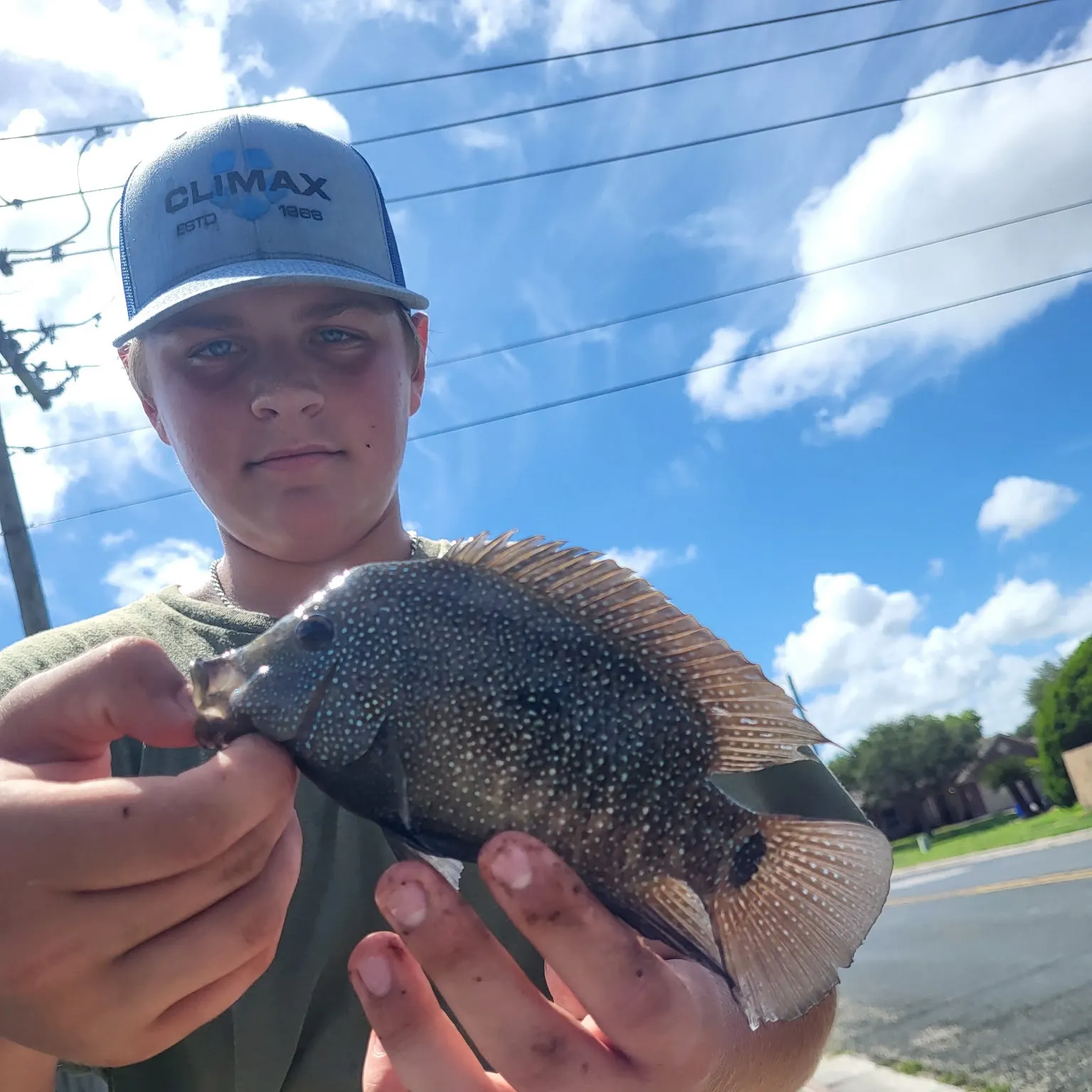 most liked catch image