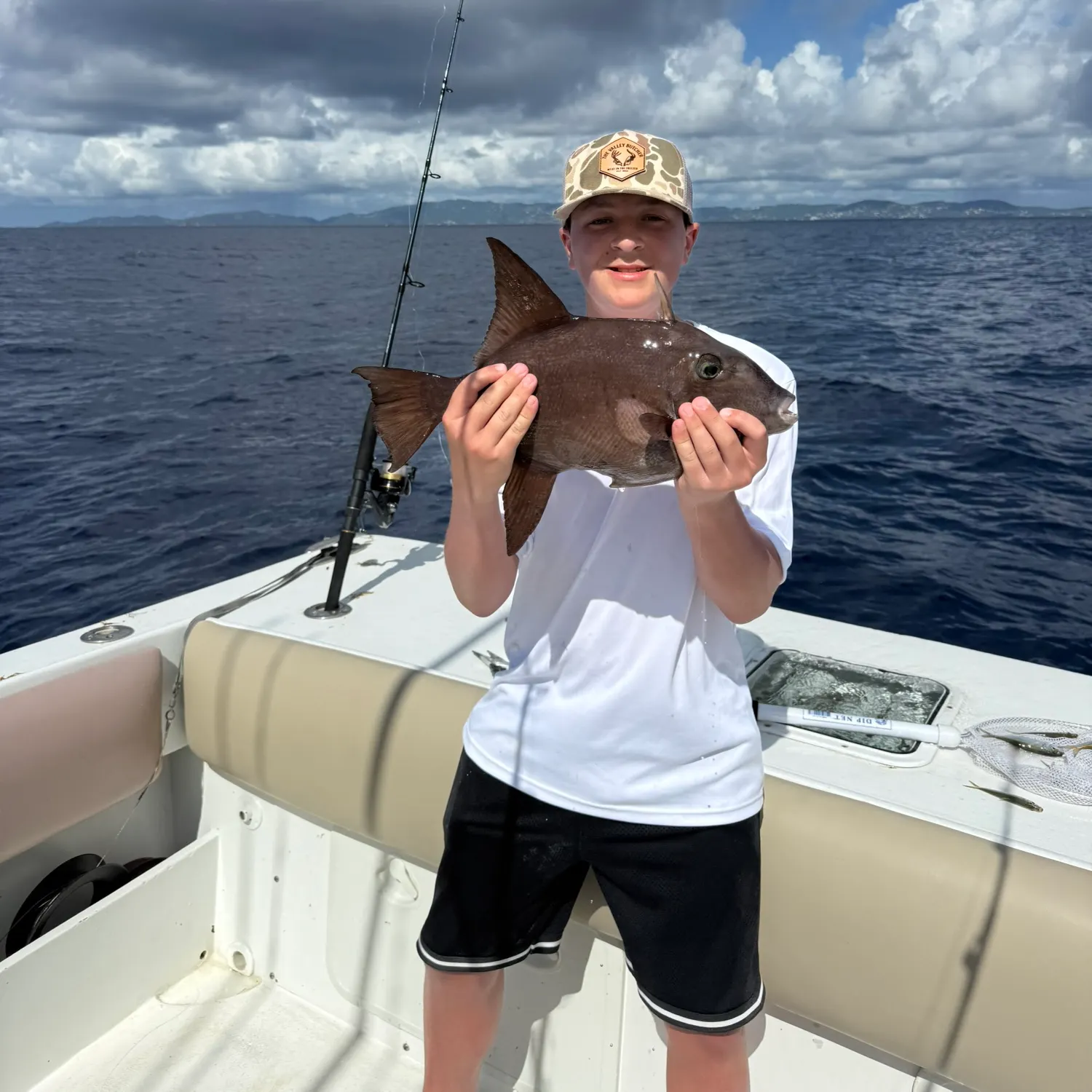 The most recent Ocean triggerfish catches on Fishbrain