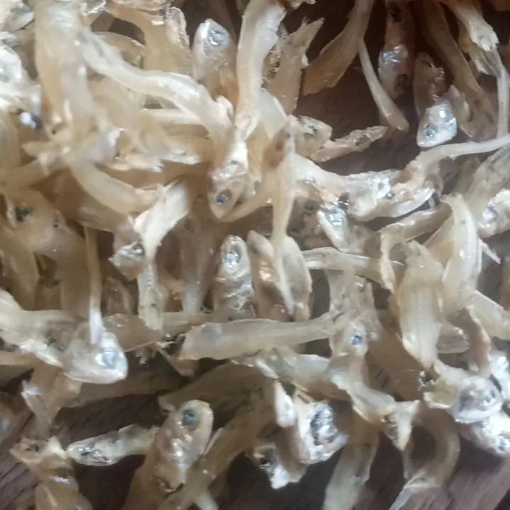 Flapnose ray caught on Fishbrain