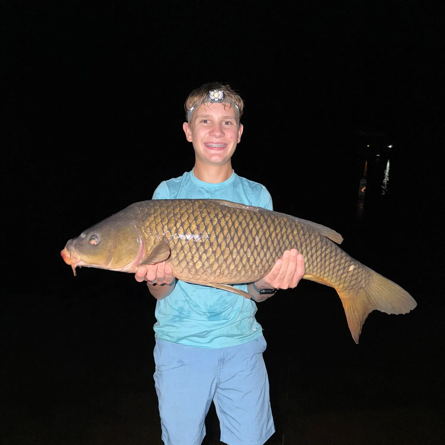 Common carp caught on Fishbrain